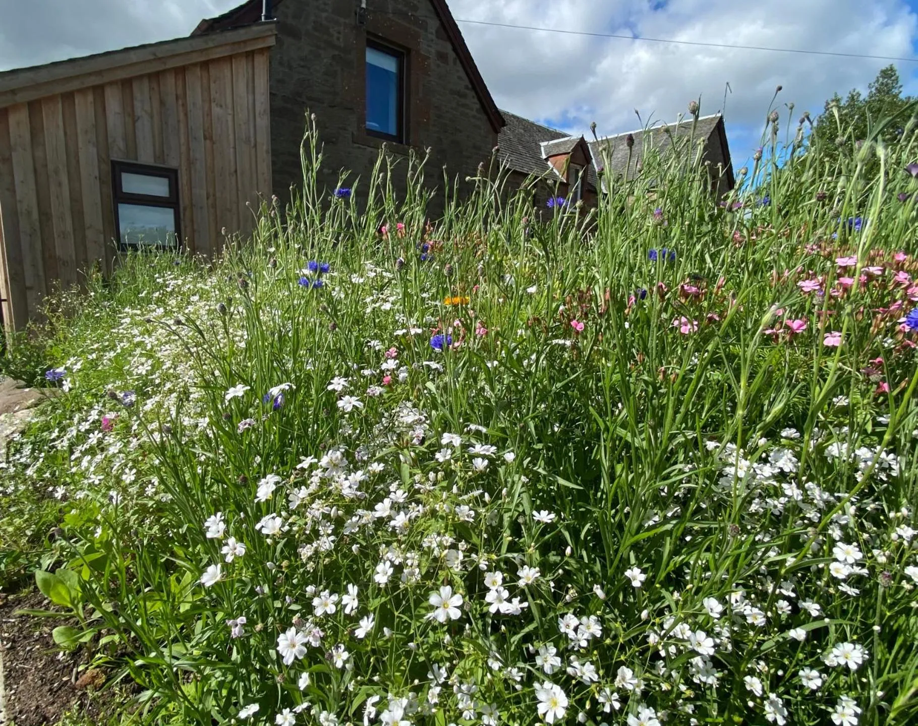 Property building in The Smiddy House