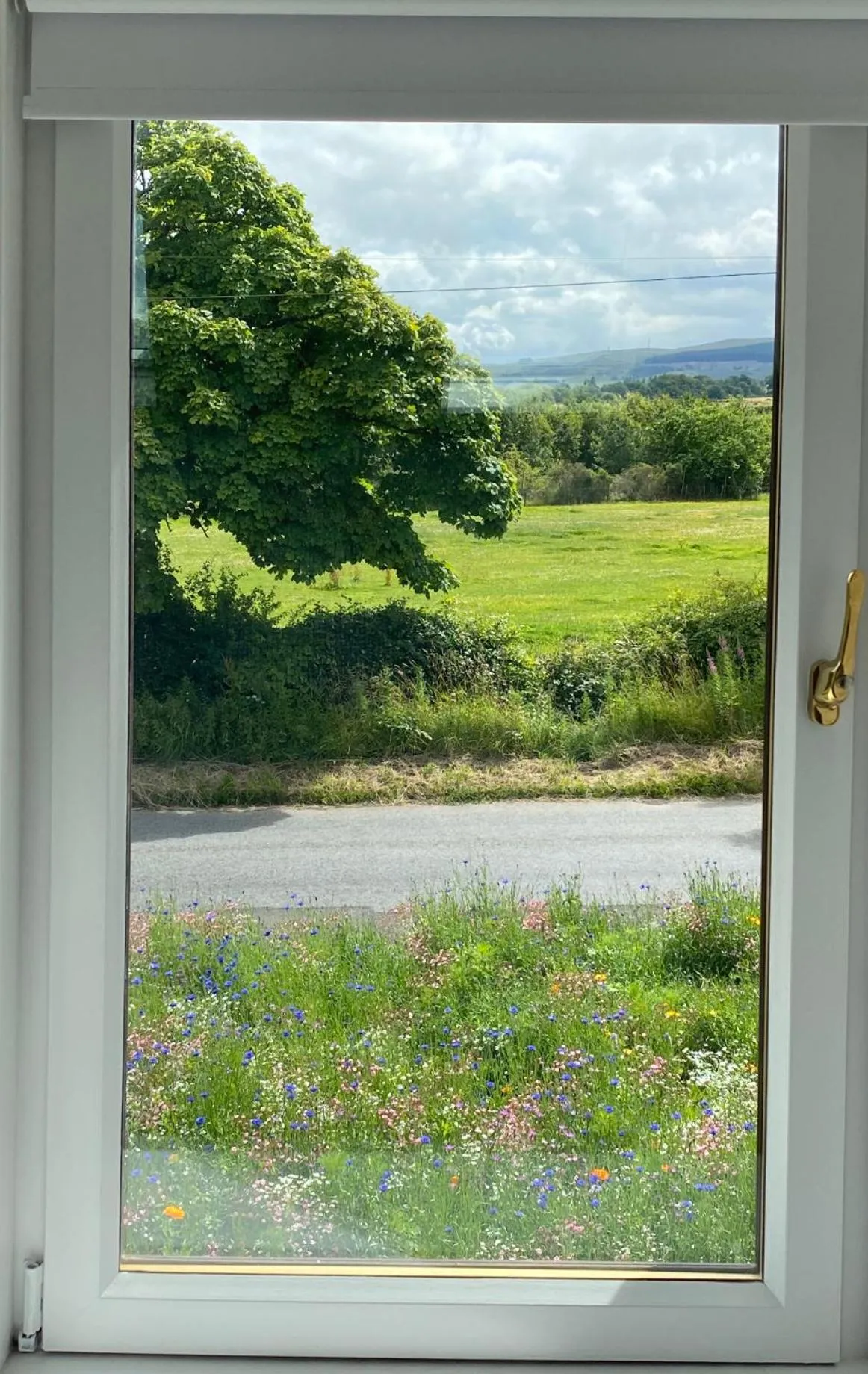 View (from property/room) in The Smiddy House