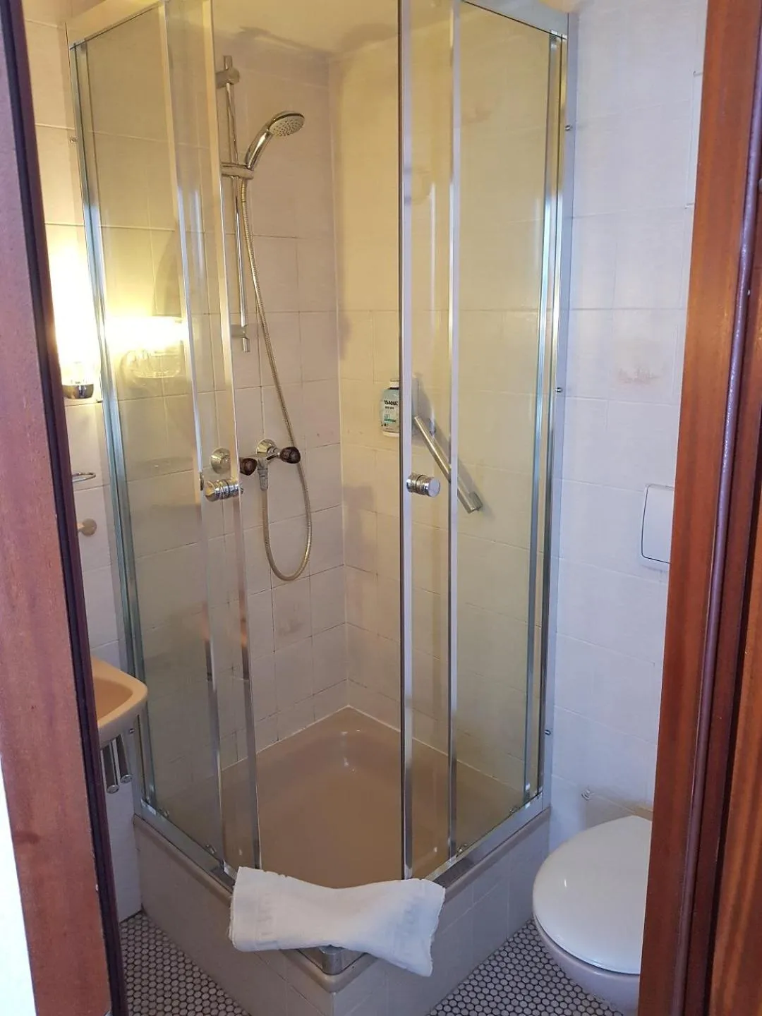 Shower in Hotel Berliner Hof