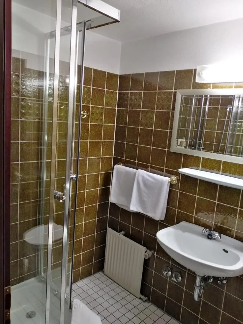 Shower in Hotel Berliner Hof