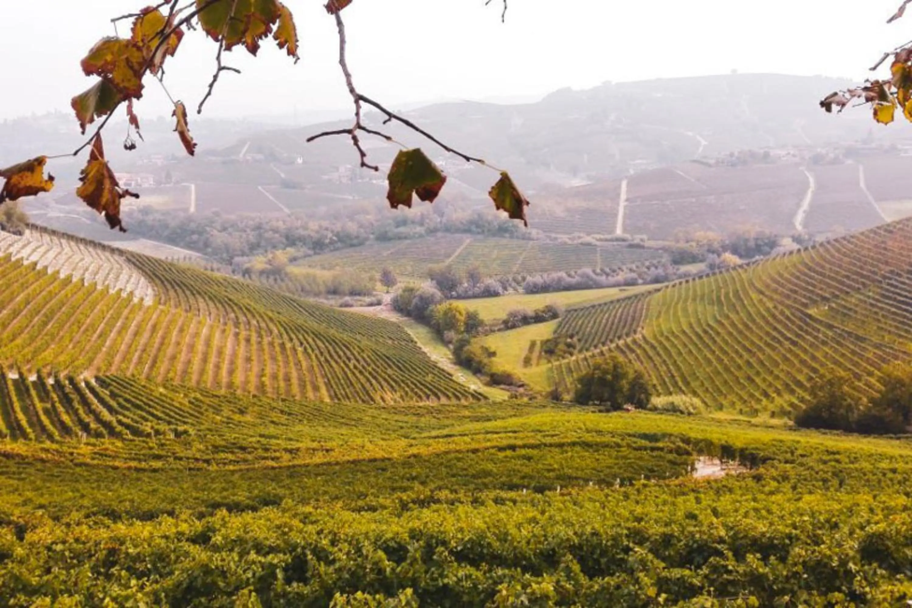 Natural landscape in Palazzo Brandano Hotel