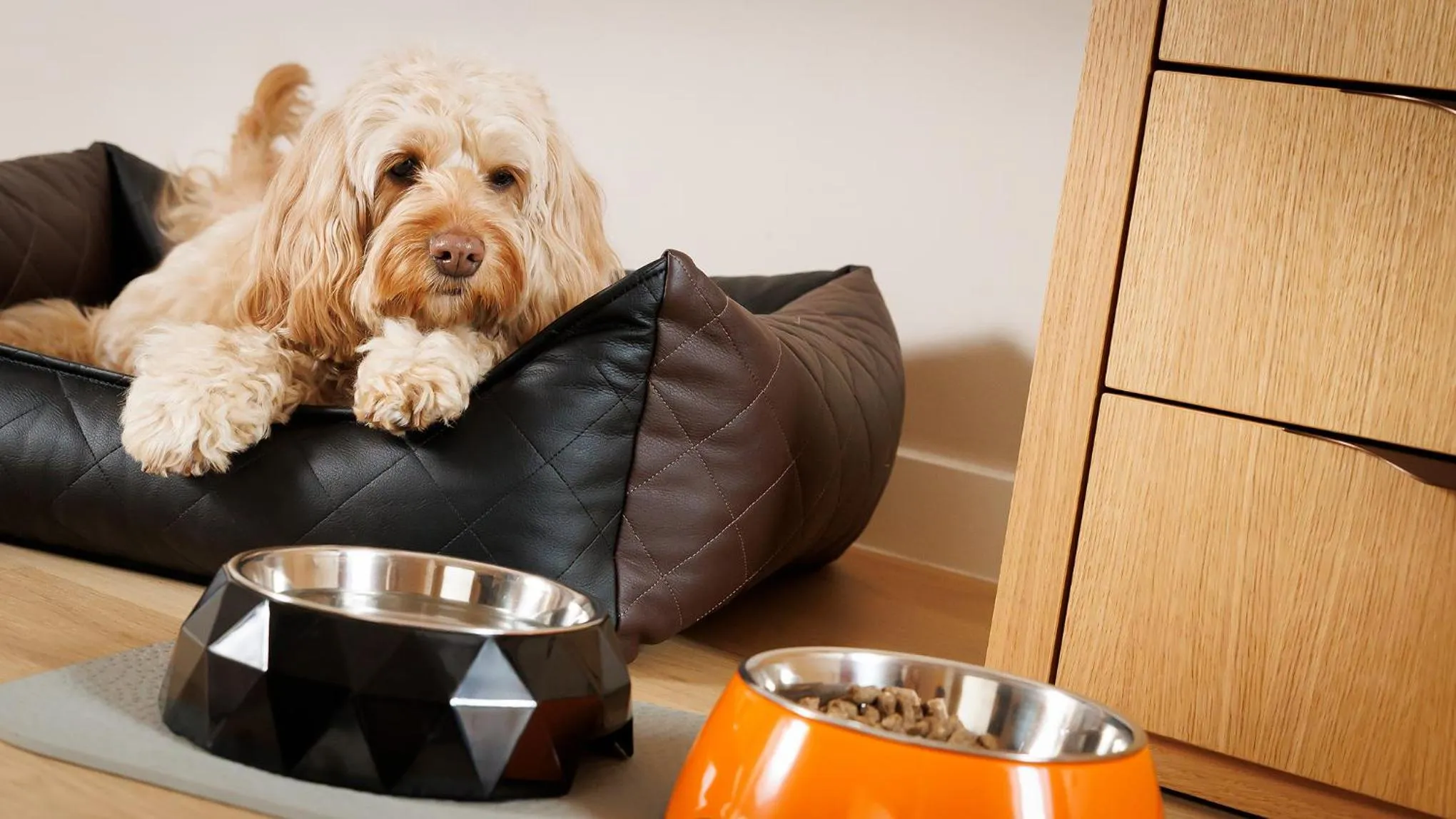 Pets in BIO-Hotel Villa Orange