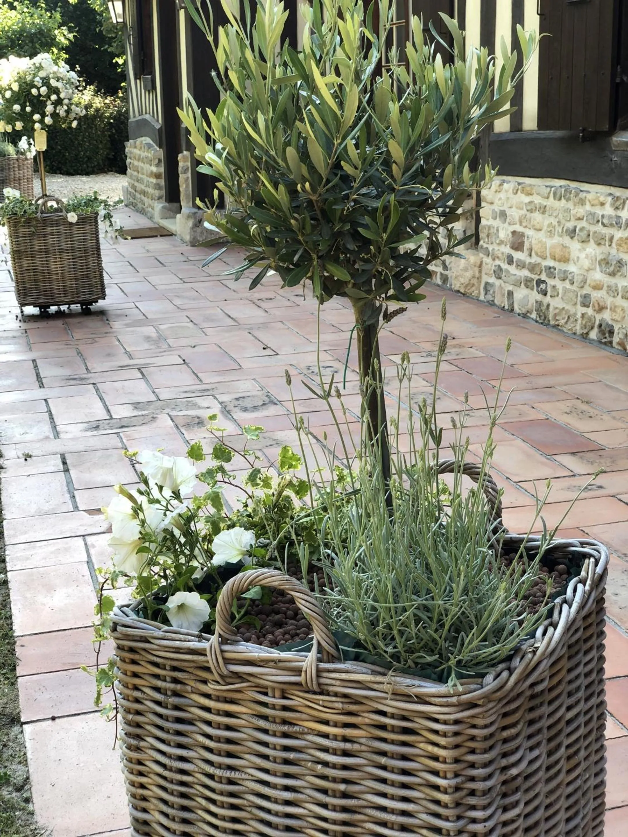 Garden in Le Clos de la Madeleine