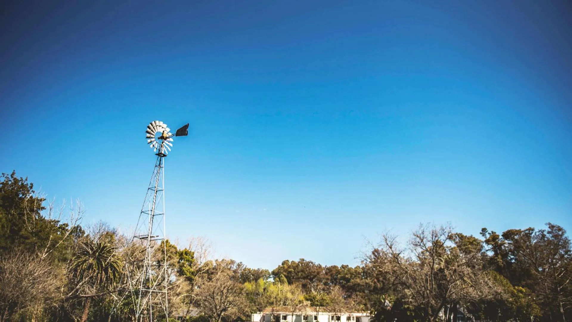 Patio in Posada Mendoza by DOT Tradition