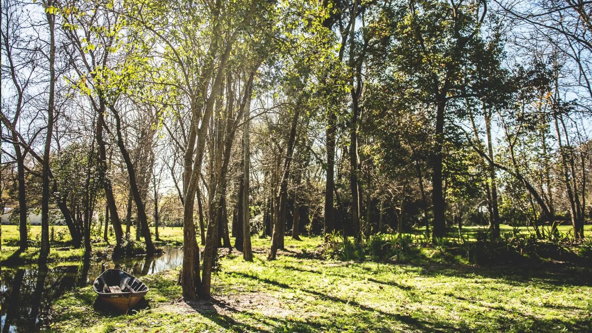 Patio in Posada Mendoza by DOT Tradition