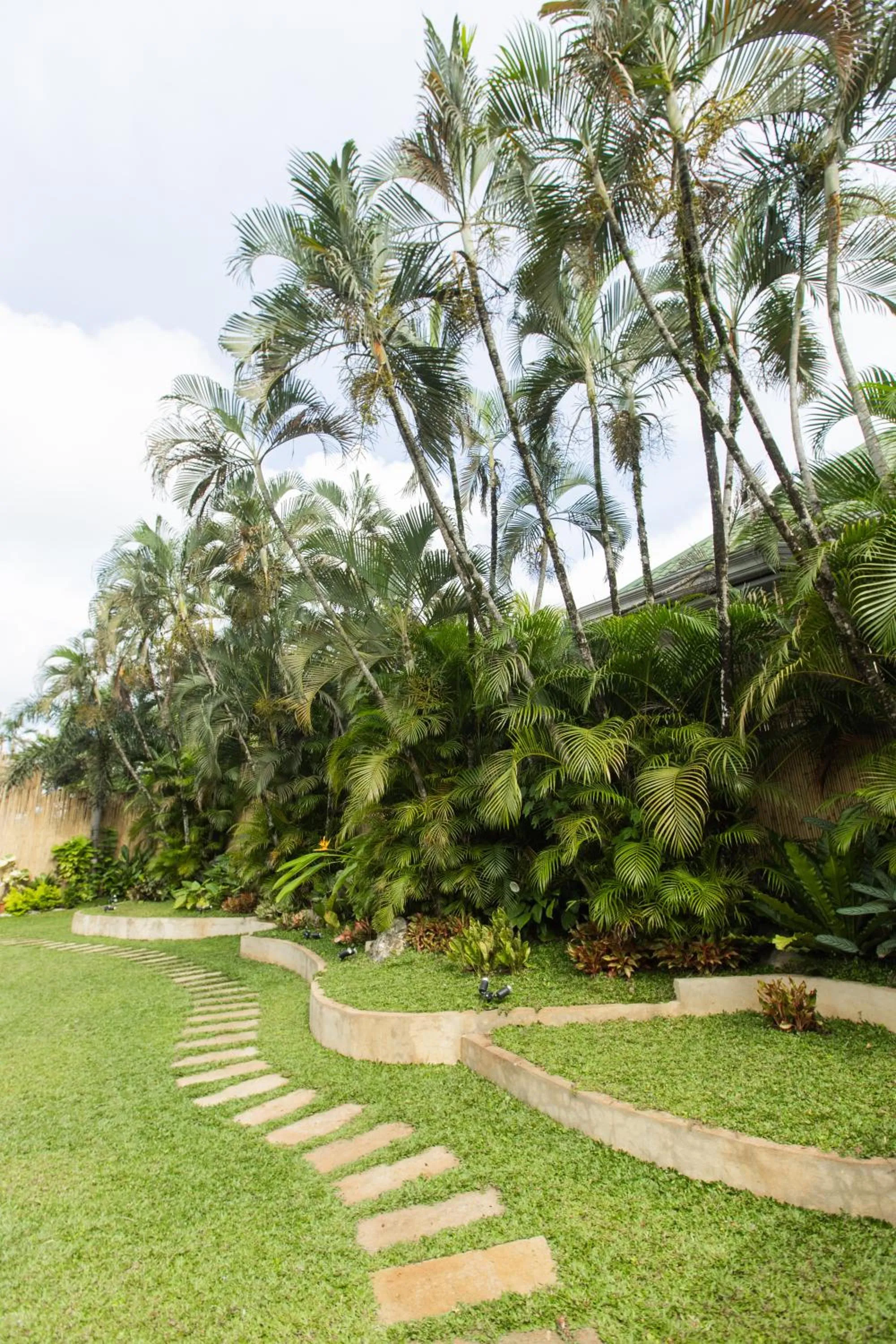 Garden in Hotel Valencia