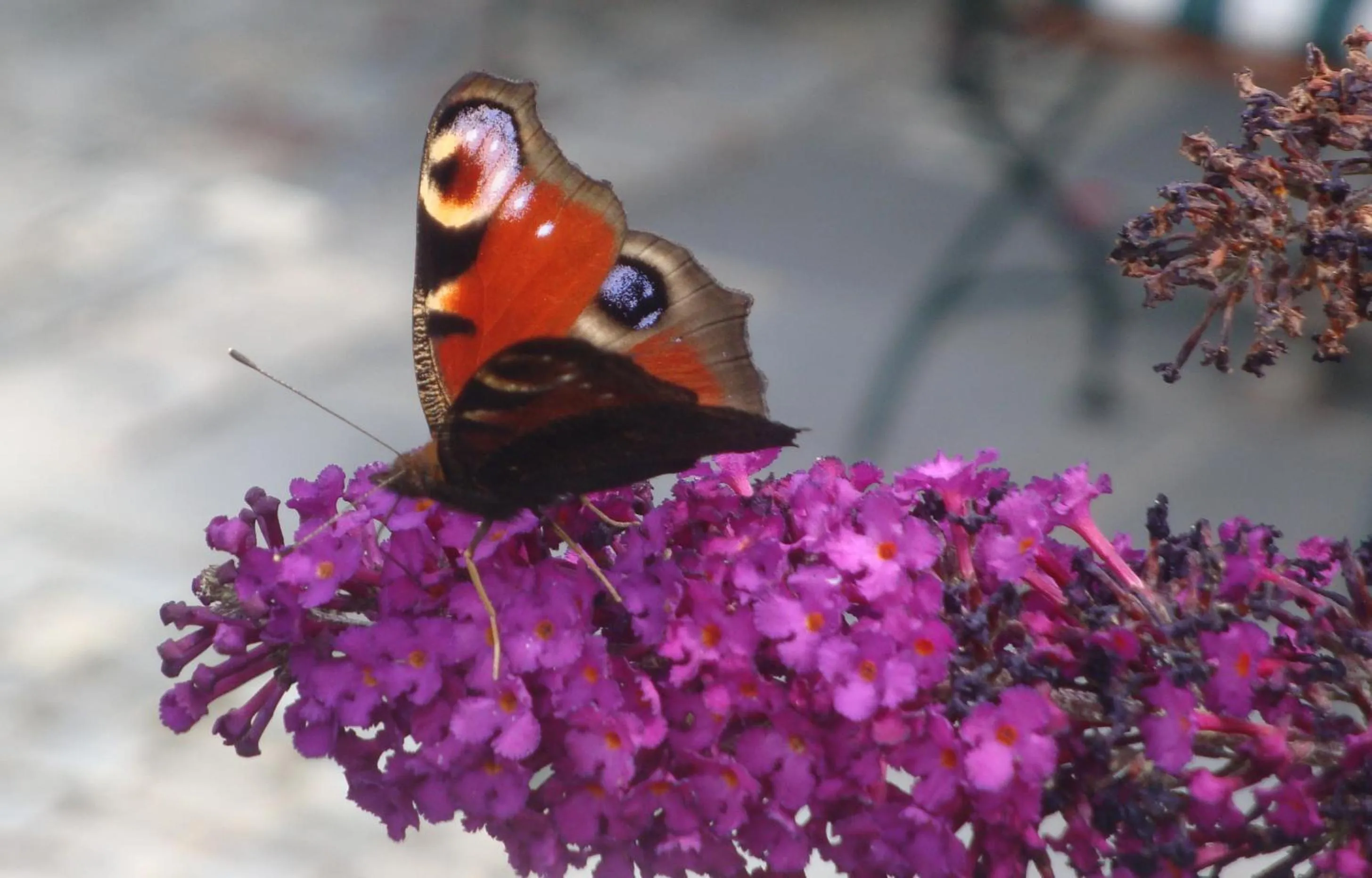 Other in Bavaria Biohotel