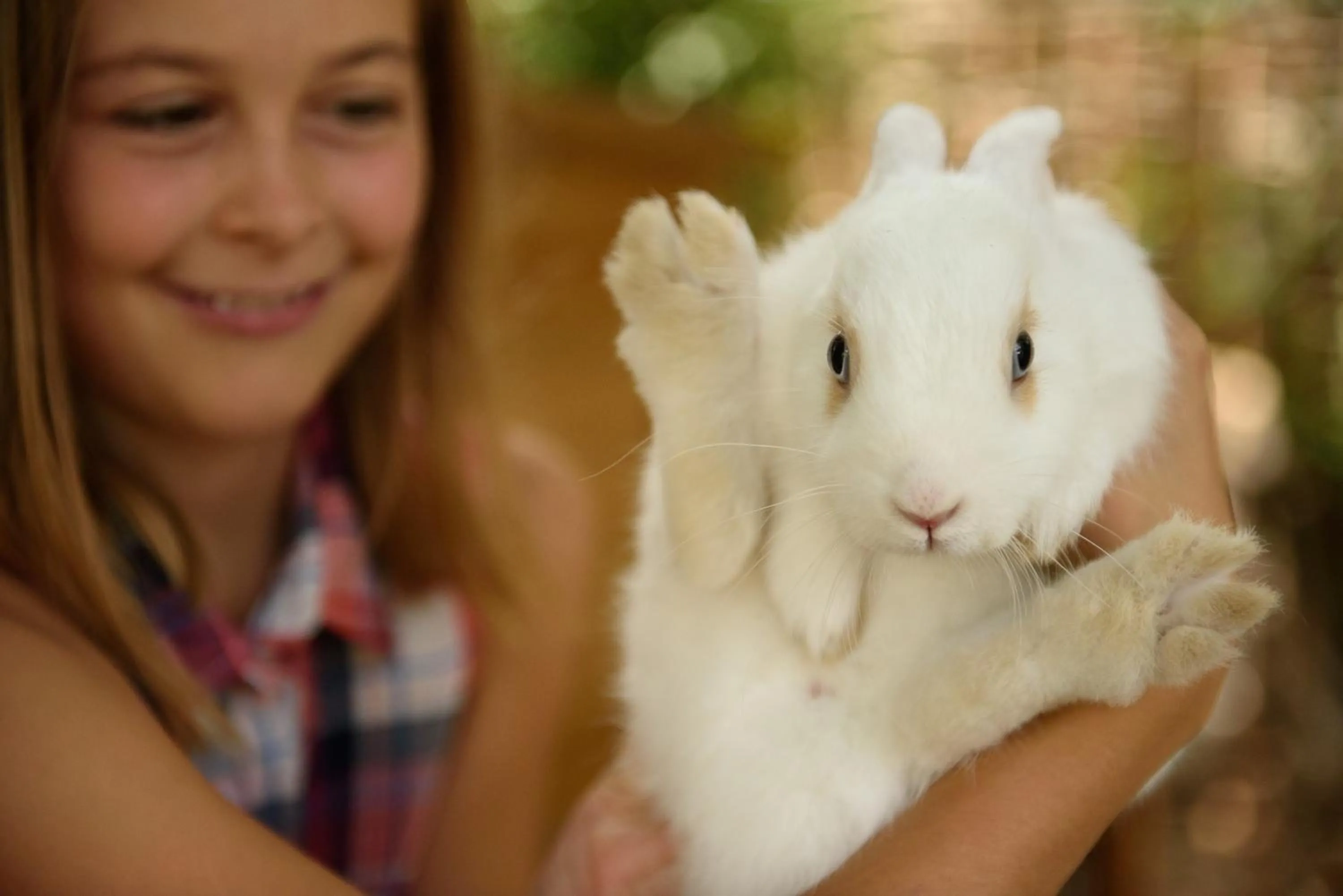 Garden in Bavaria Biohotel