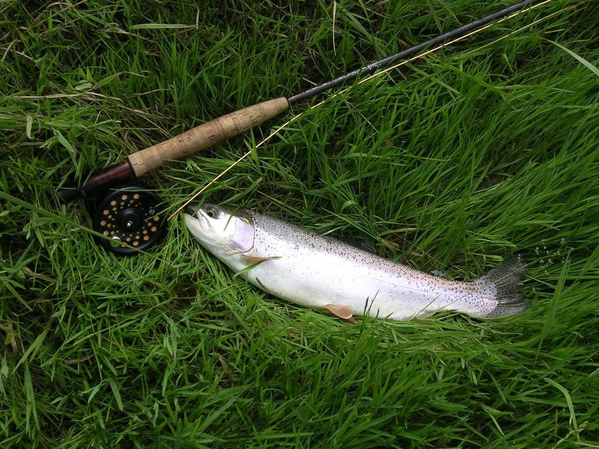 Fishing in Bavaria Biohotel