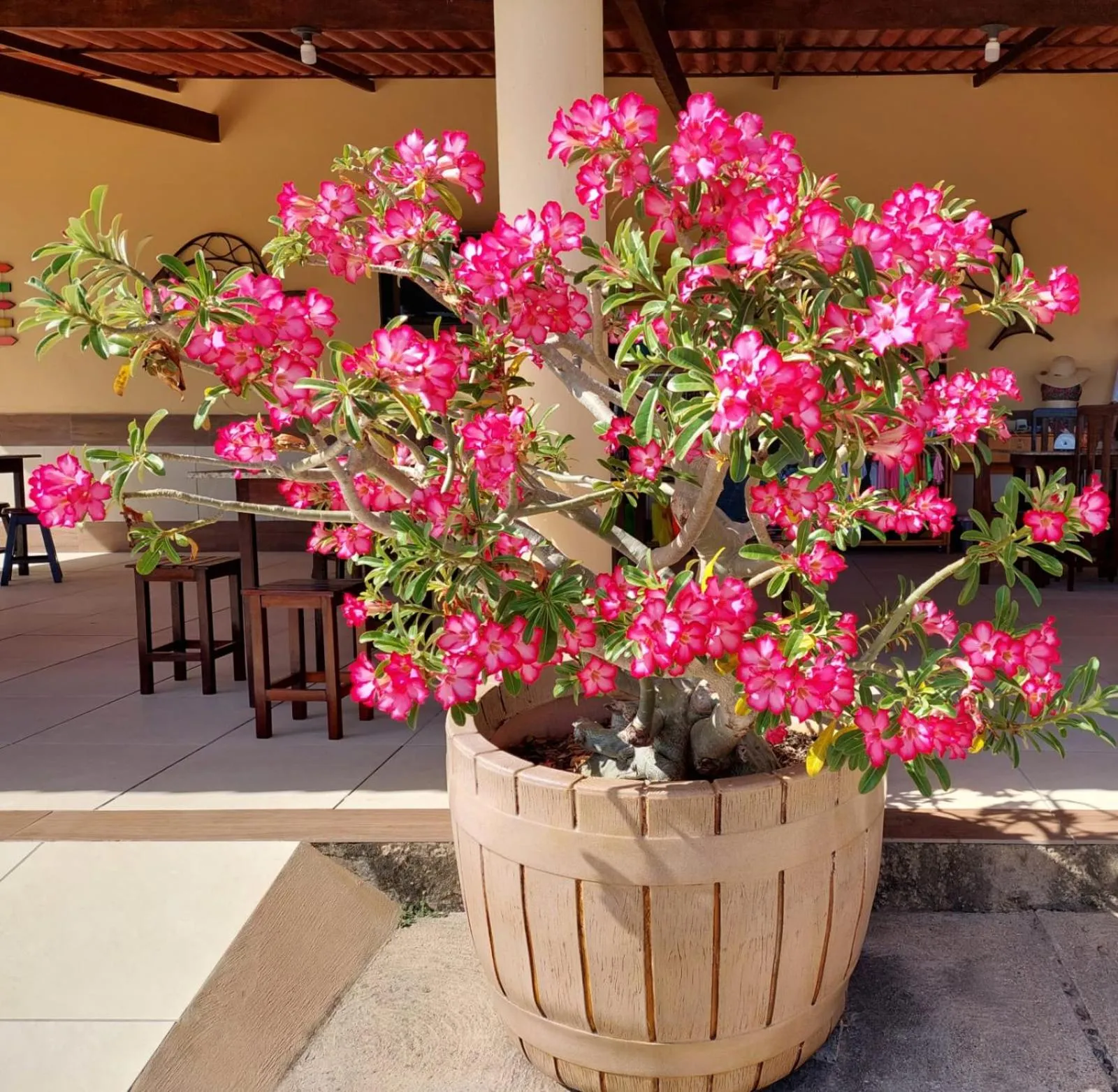 Seating area in Pousada Sonho de Mar