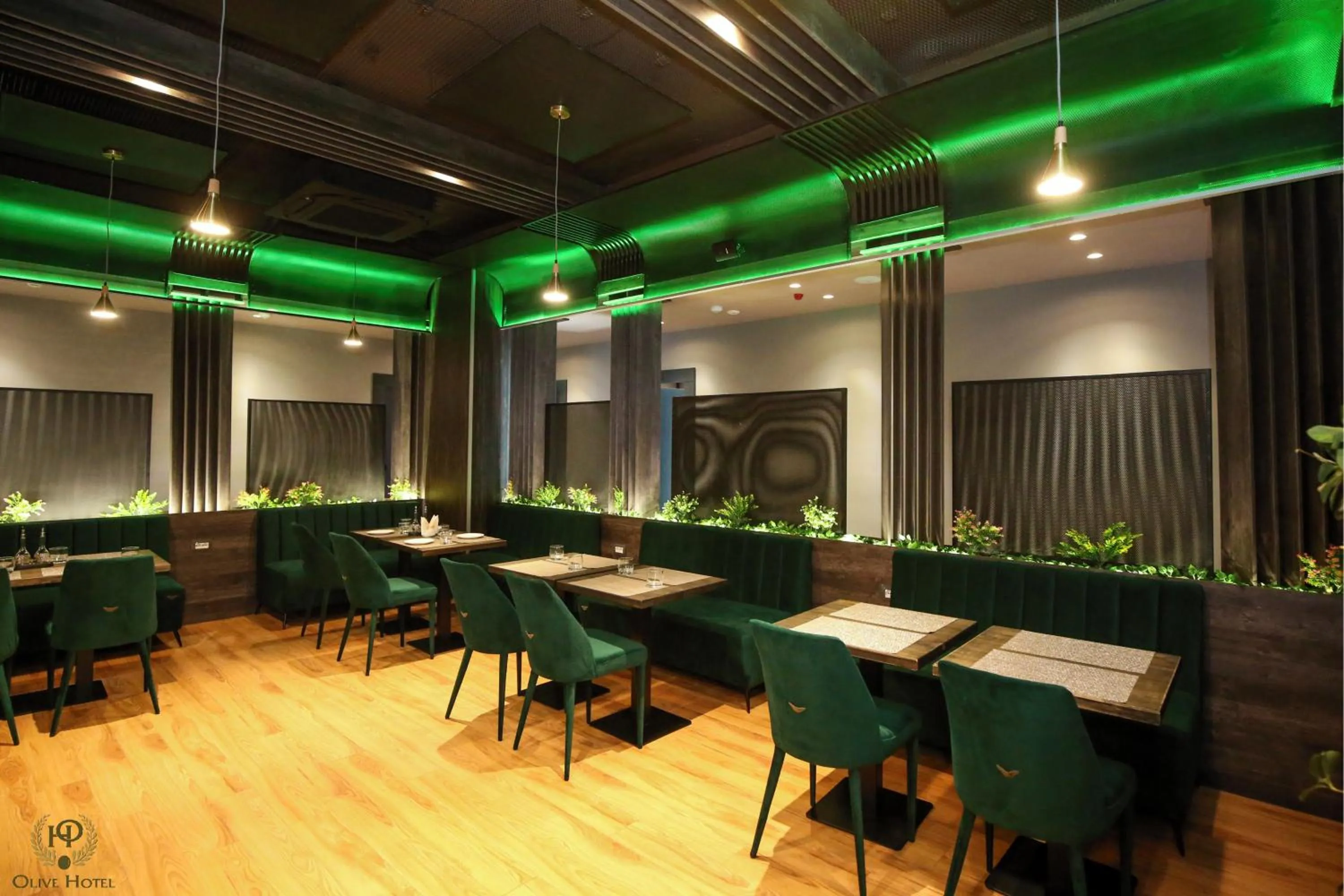 Restaurant/places to eat in Hotel Olive