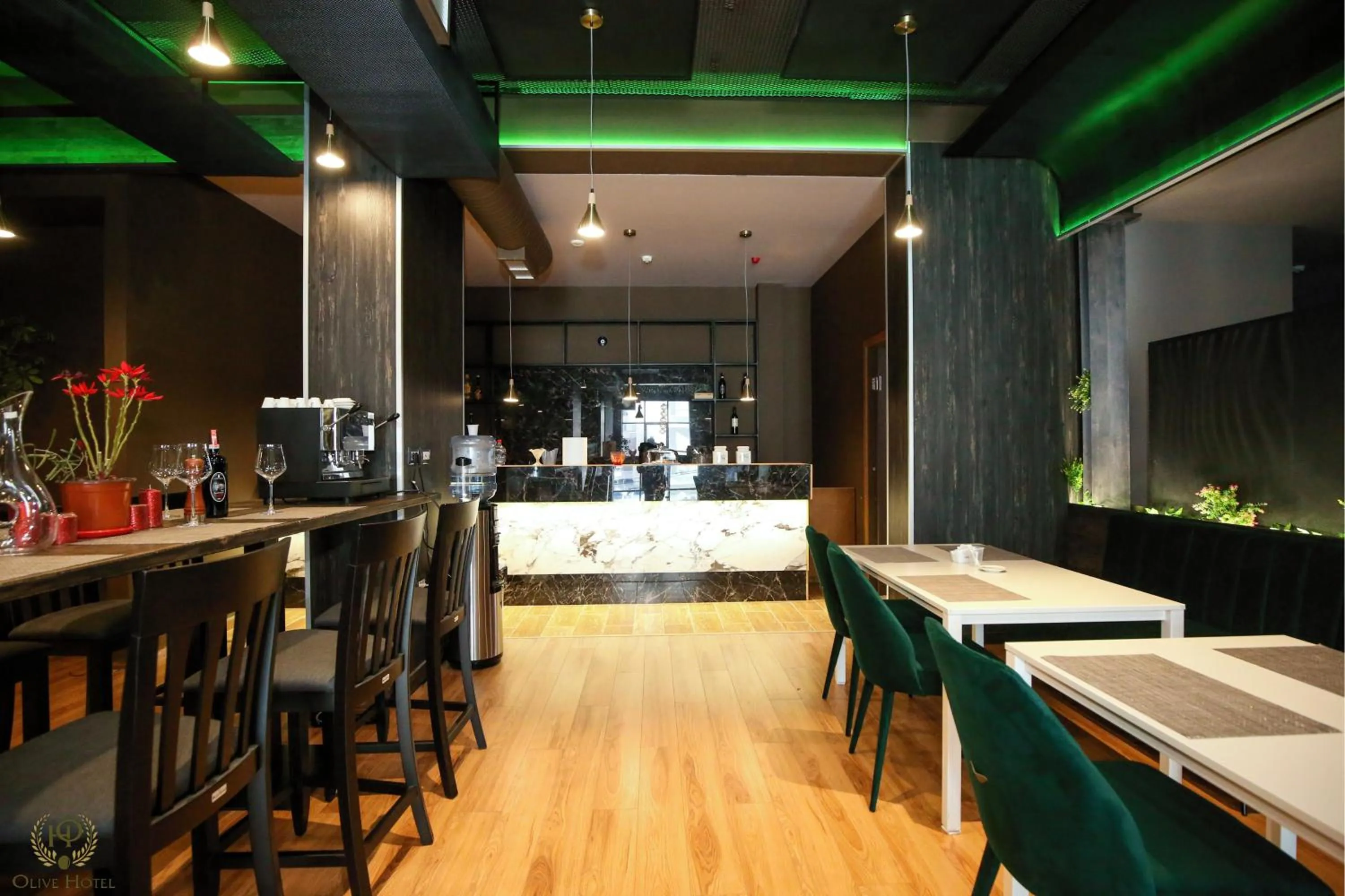 Restaurant/places to eat in Hotel Olive