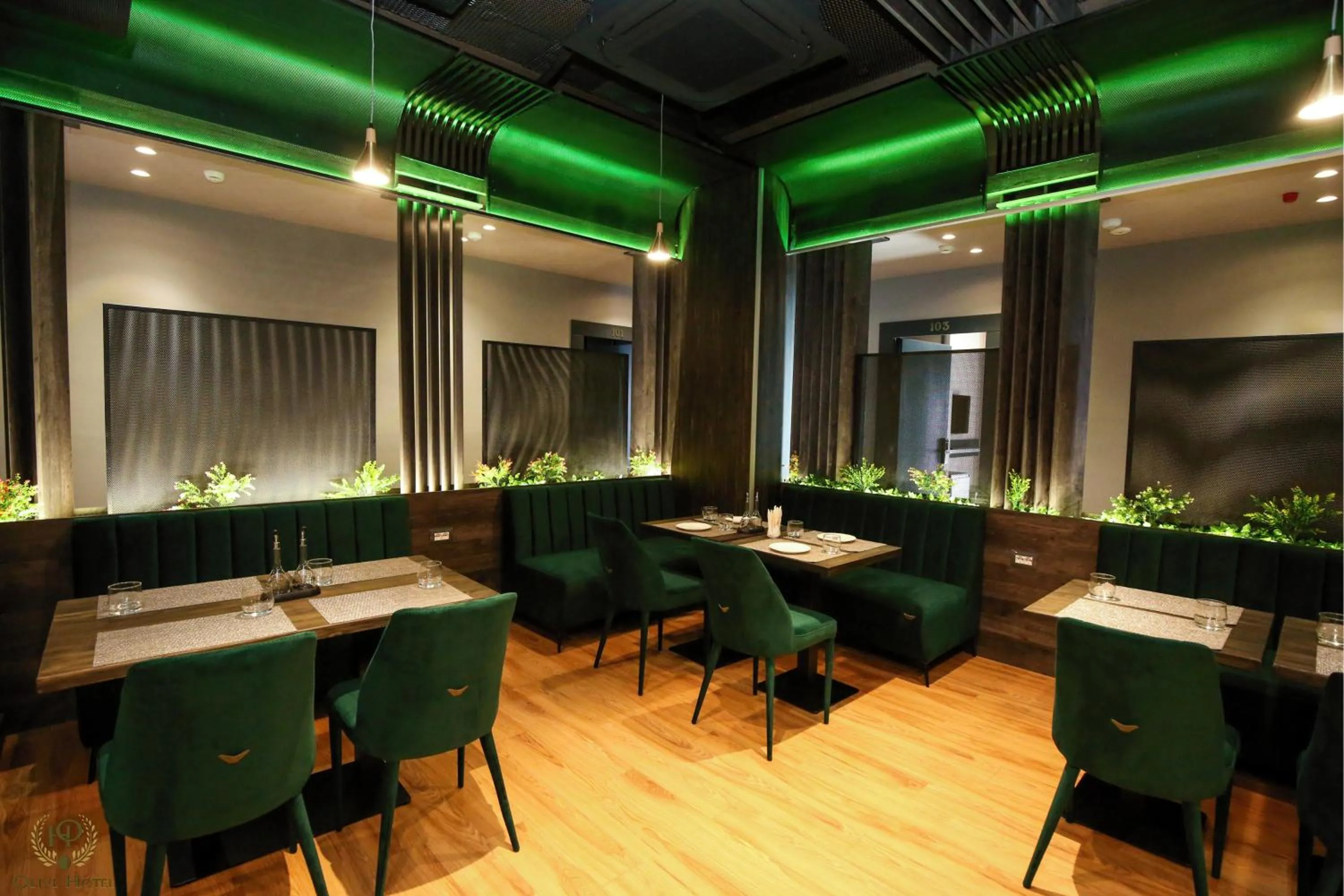 Restaurant/places to eat in Hotel Olive