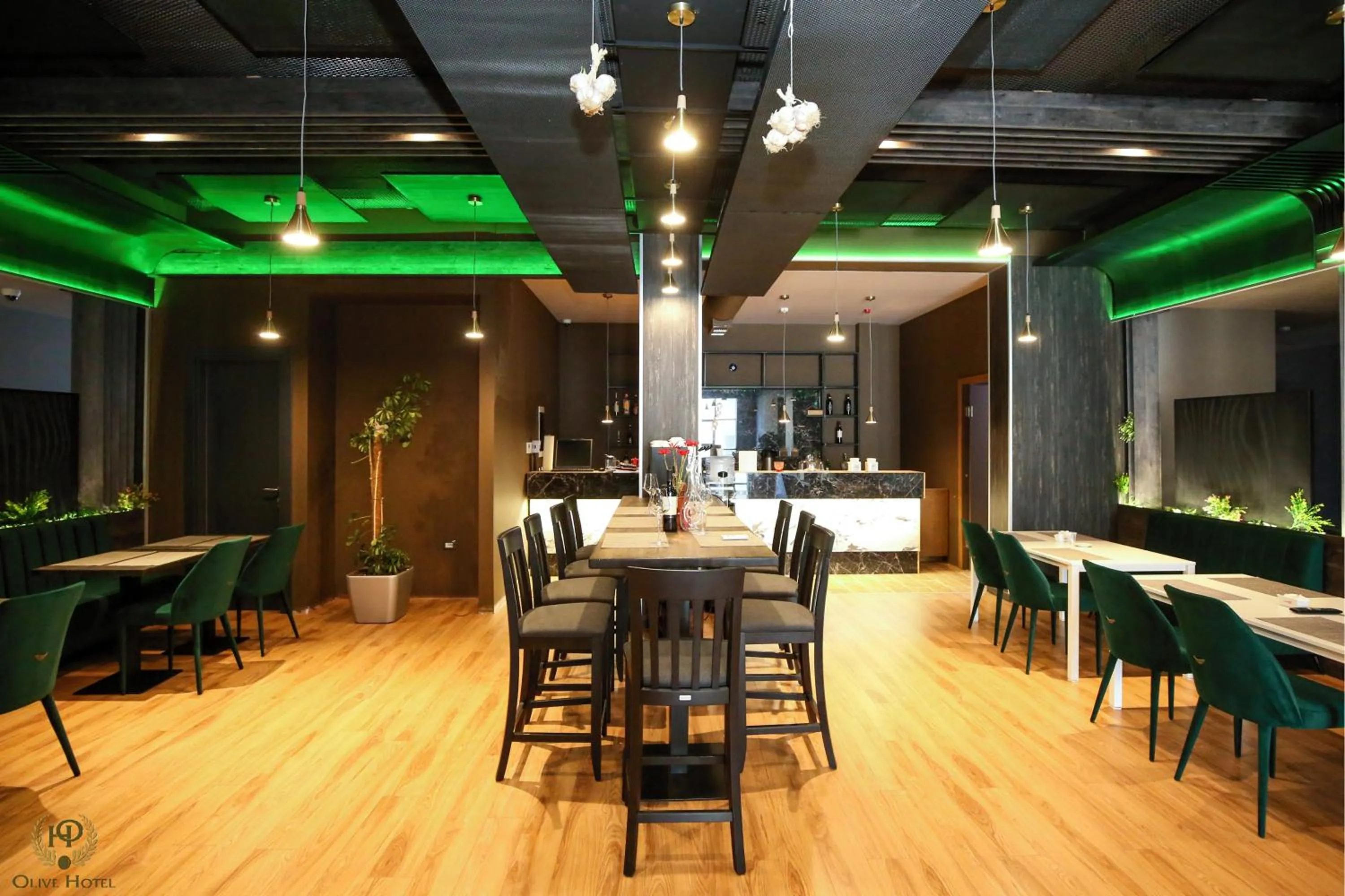 Restaurant/places to eat in Hotel Olive