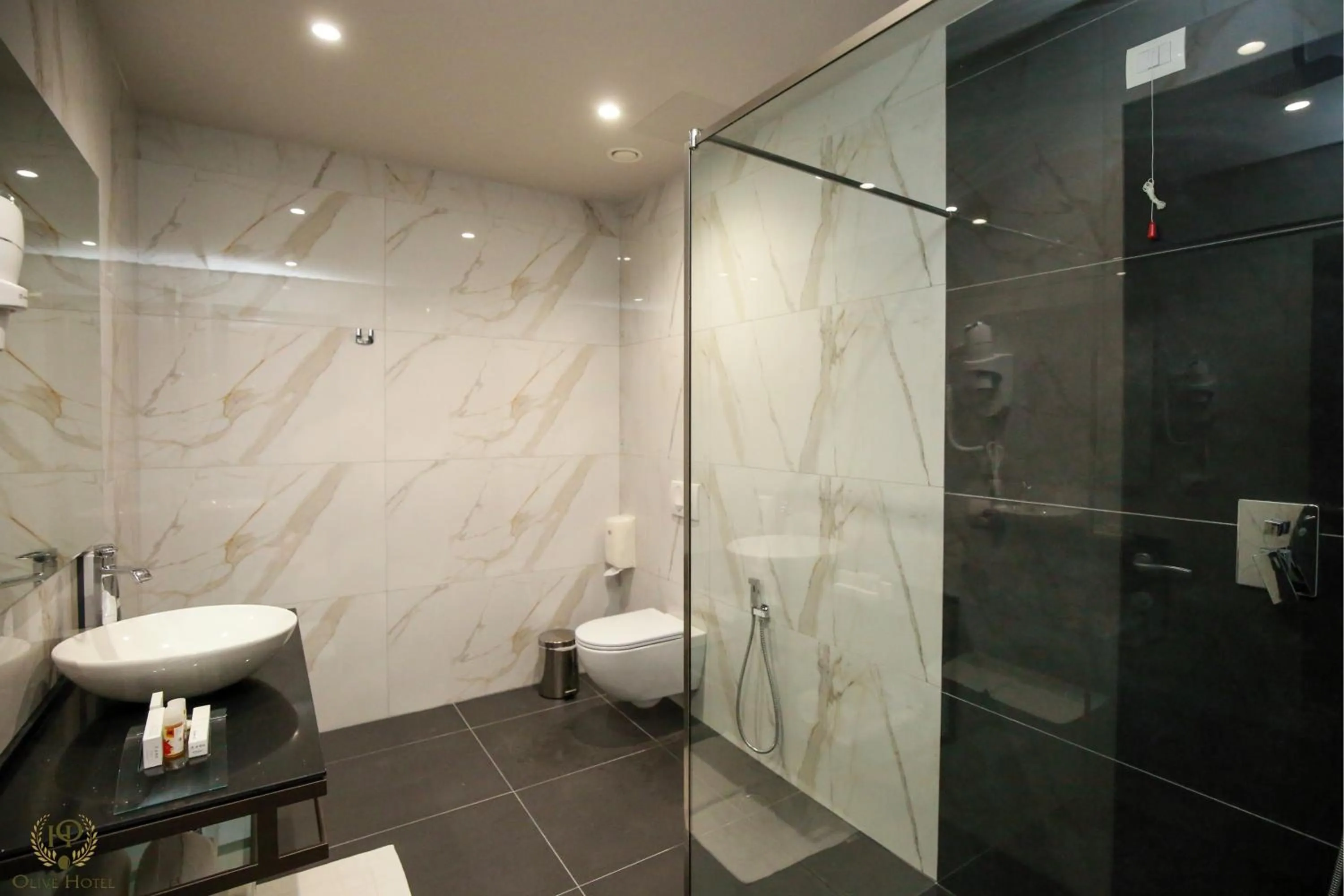 Shower in Hotel Olive