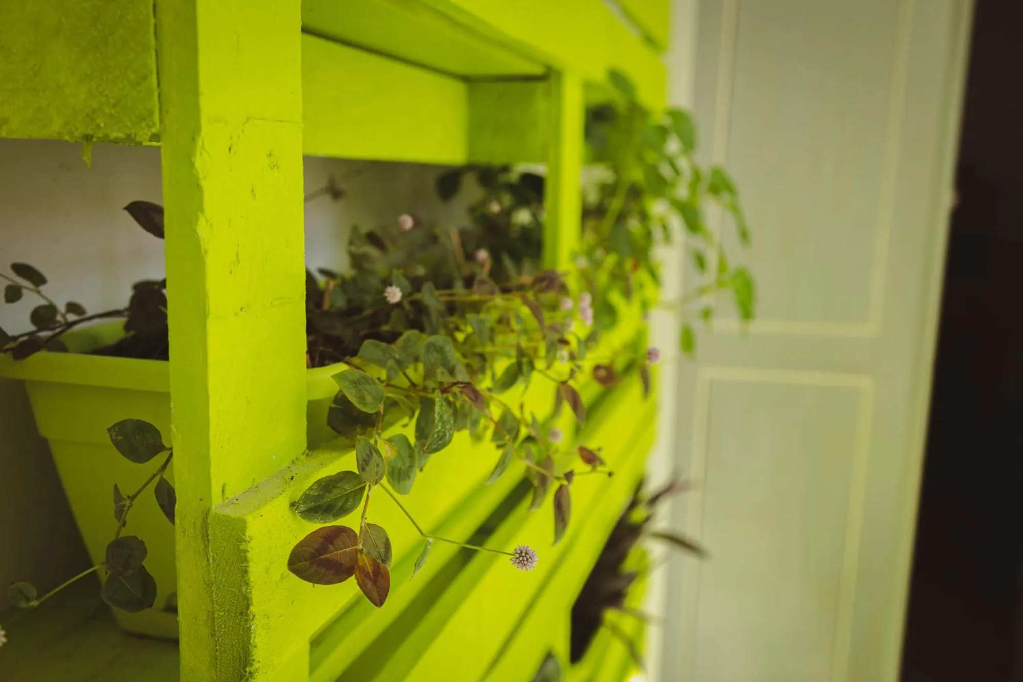 Property building in Very Typical - Alojamento Local