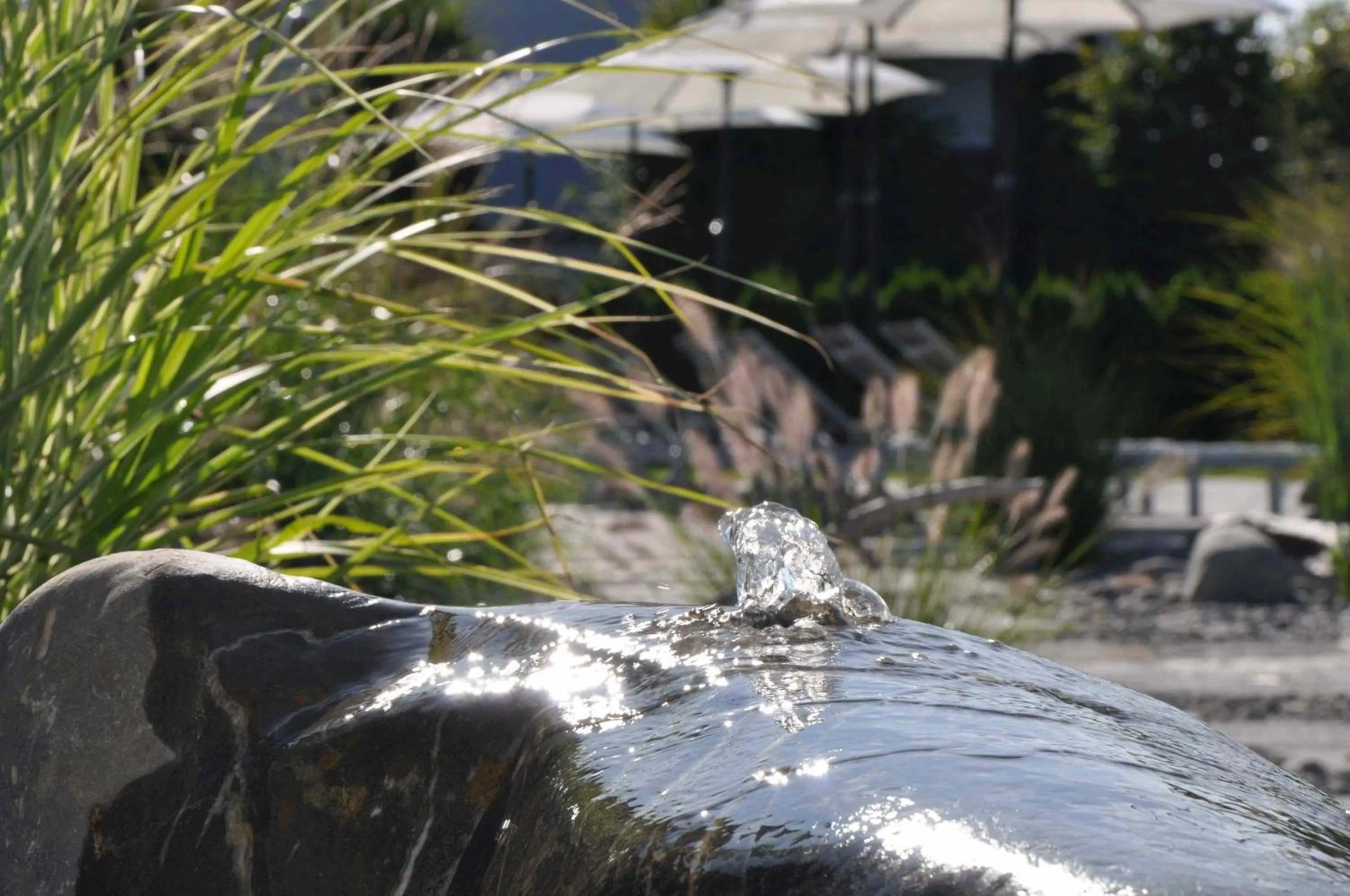 Garden in Hotel Traube am See