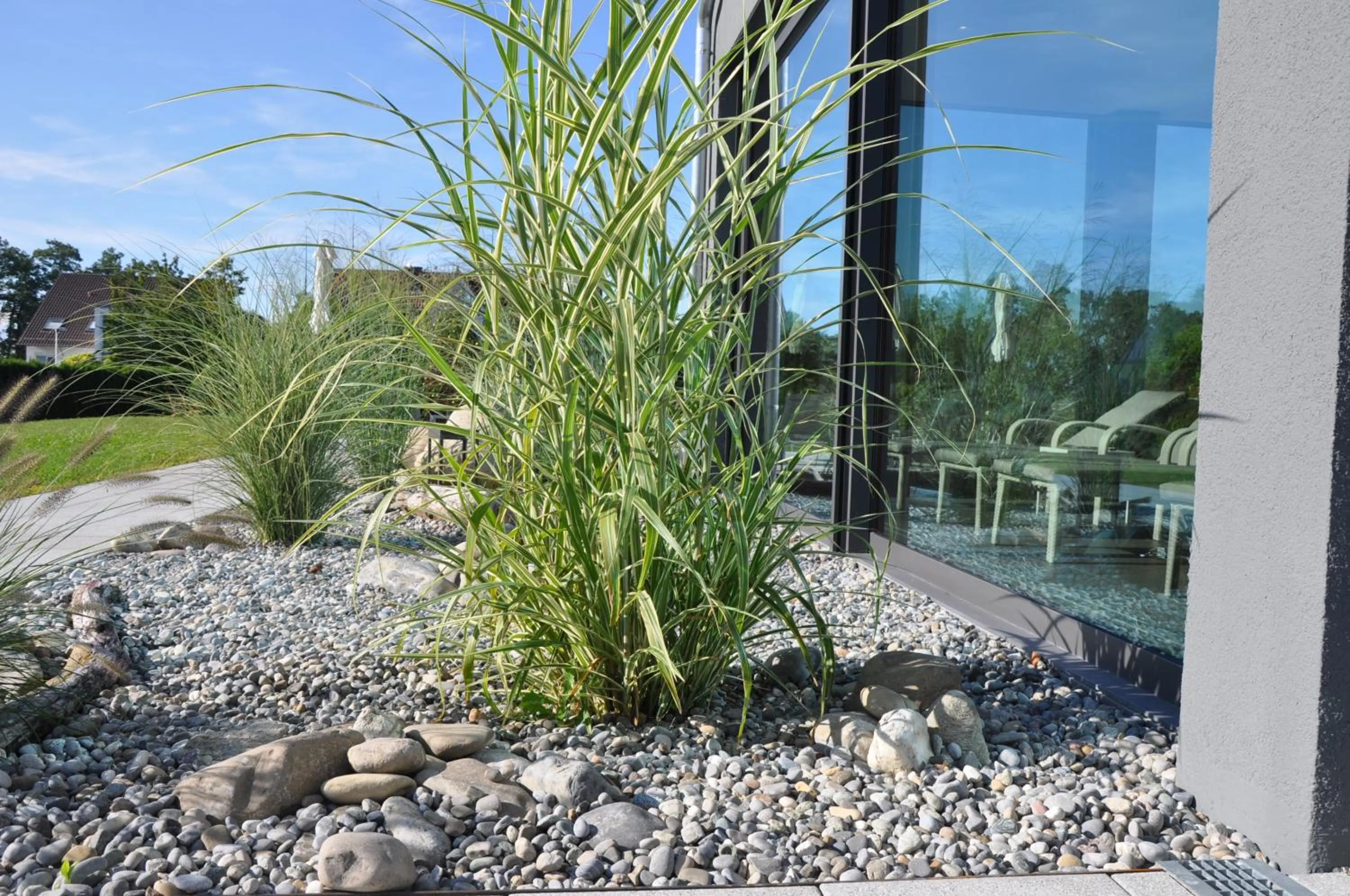 Garden in Hotel Traube am See