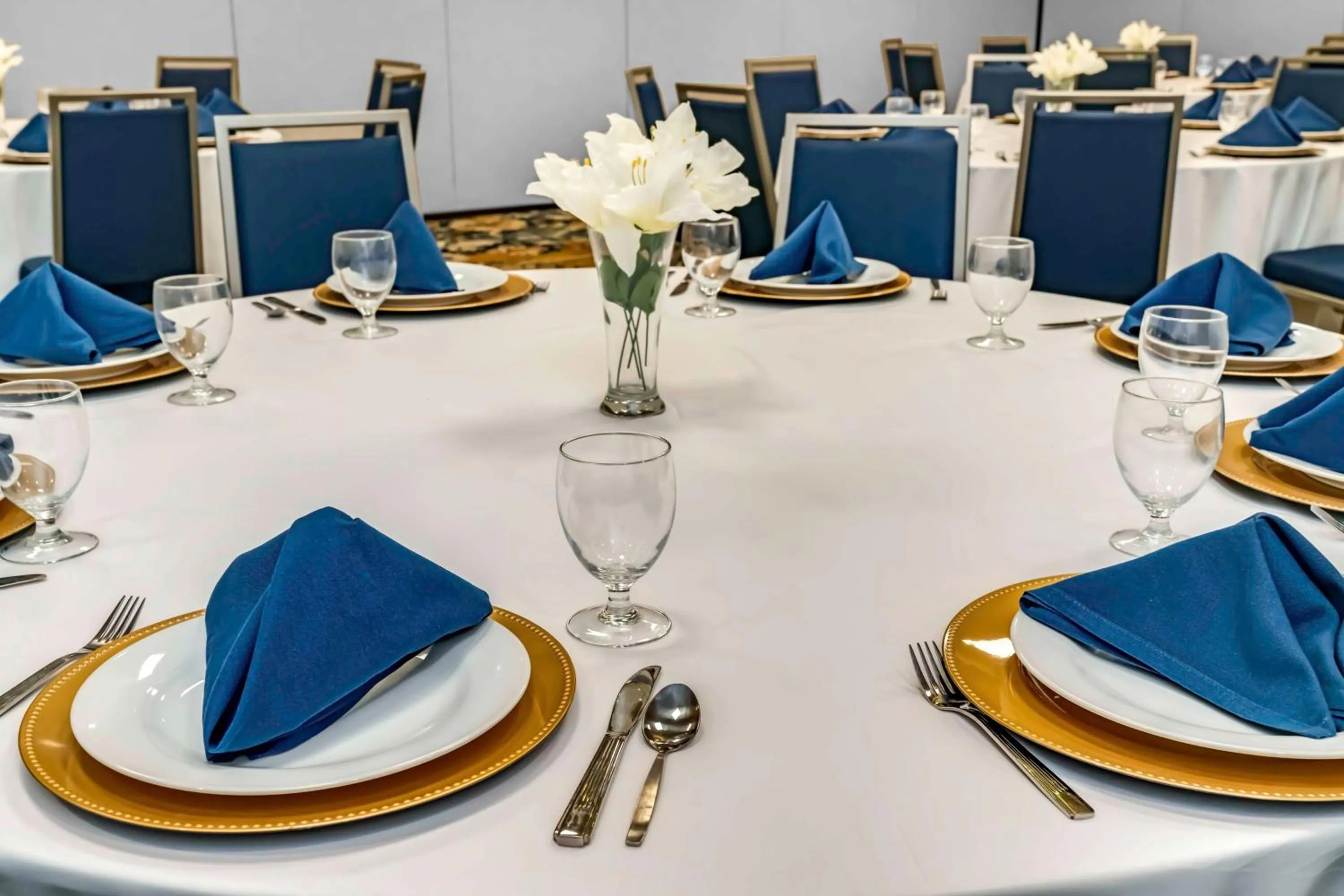 Meeting/conference room in Hilton Garden Inn By Hilton Fort Wayne North