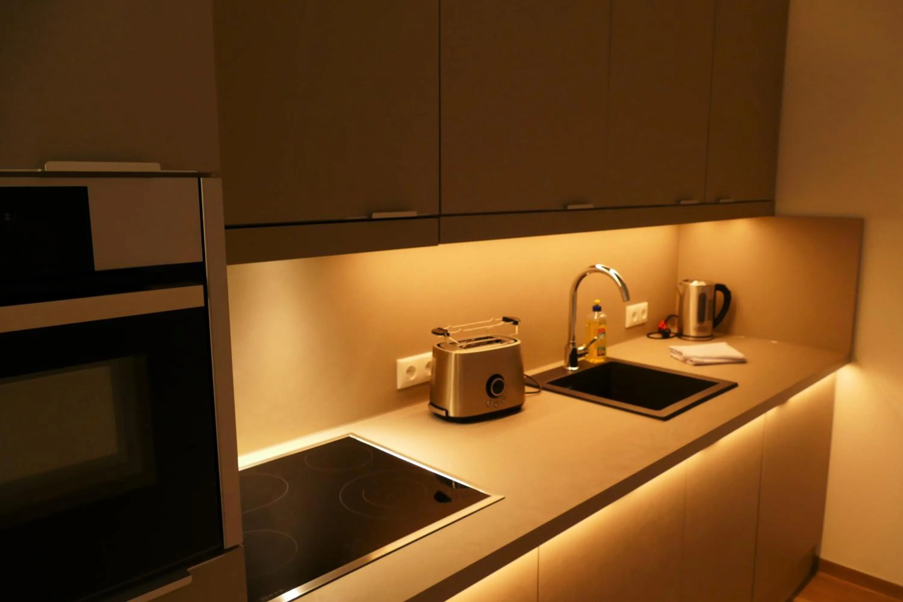 Kitchen or kitchenette in Meyn's Apartments & Hotel
