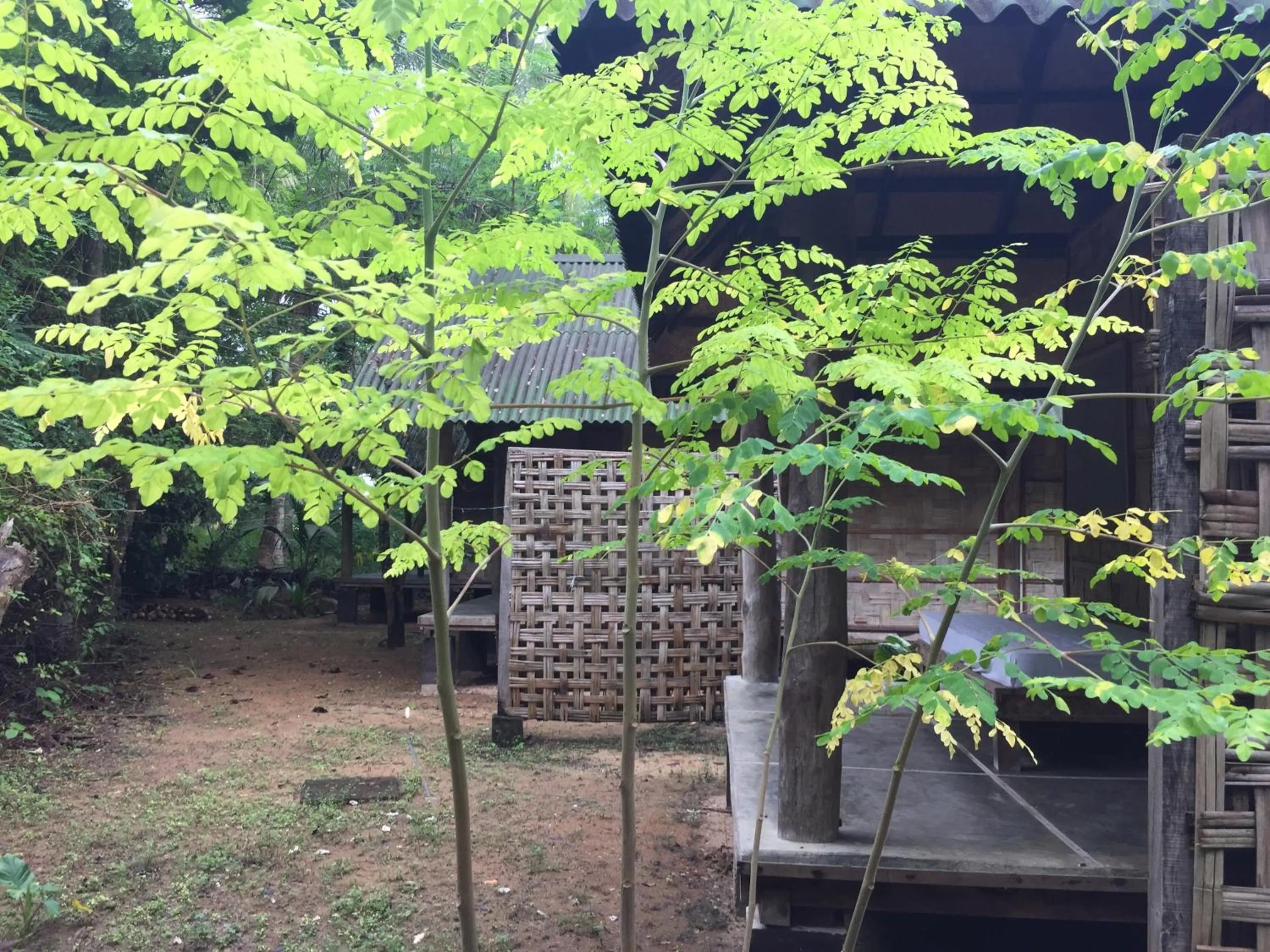 Balcony/Terrace in Emerald Gecko, Neil Island