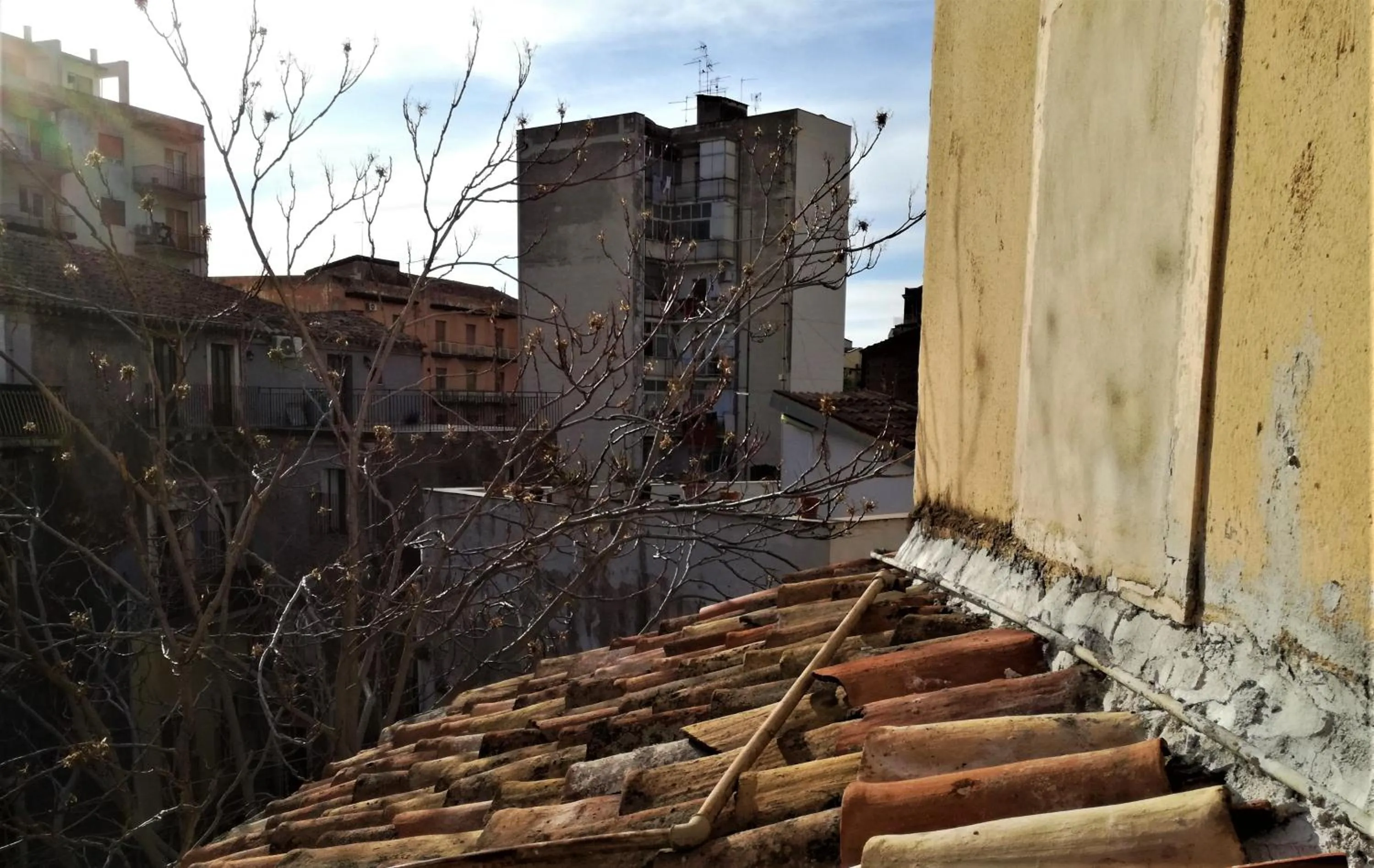 View (from property/room) in MOKARTA B&B