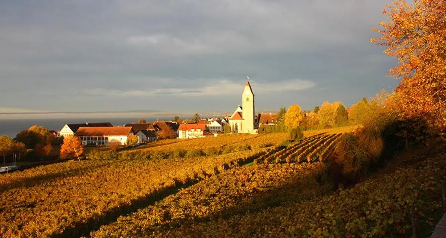 Natural landscape in Ferienhof Berger UG