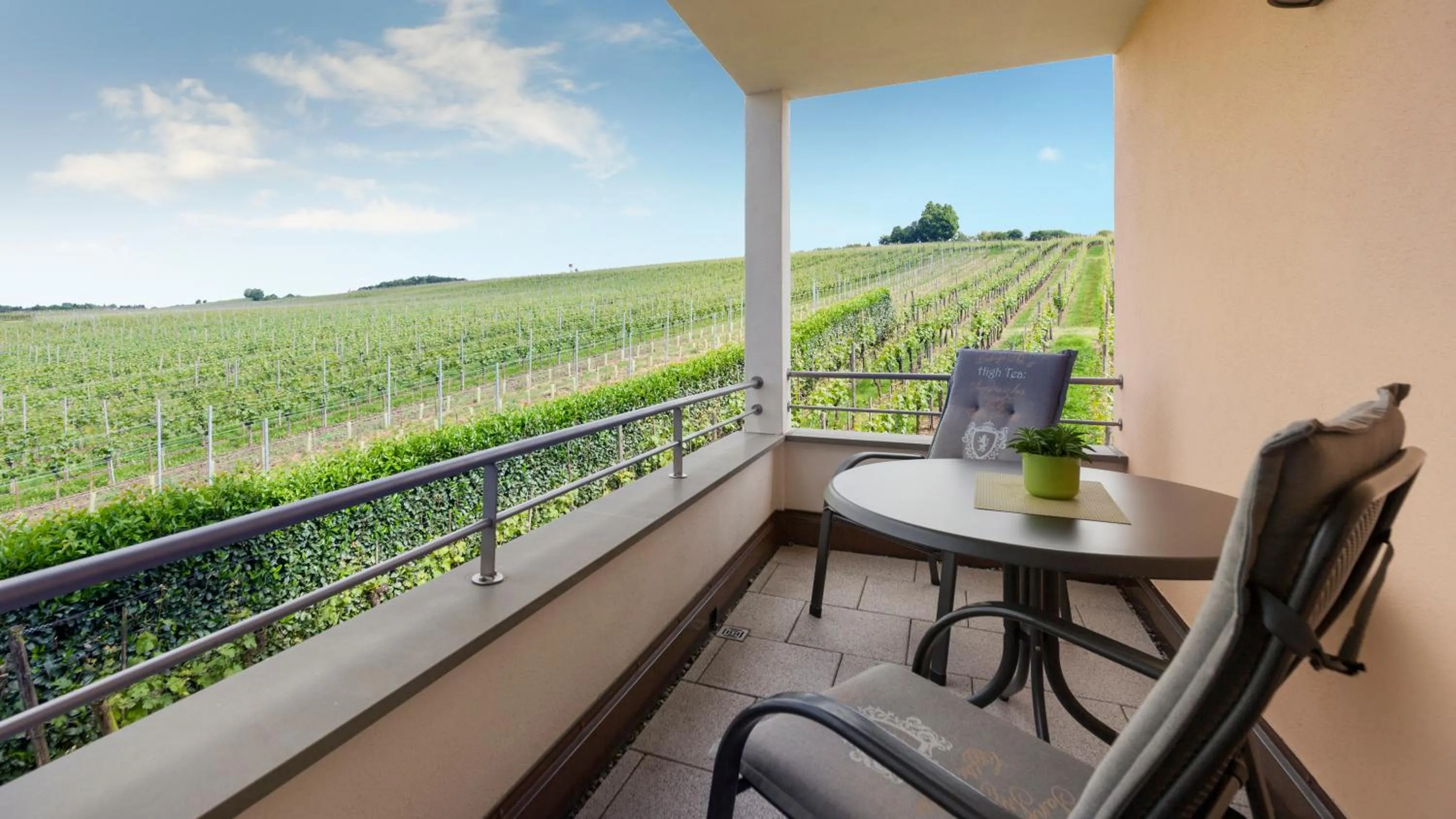 Balcony/Terrace in Ferienhof Berger UG