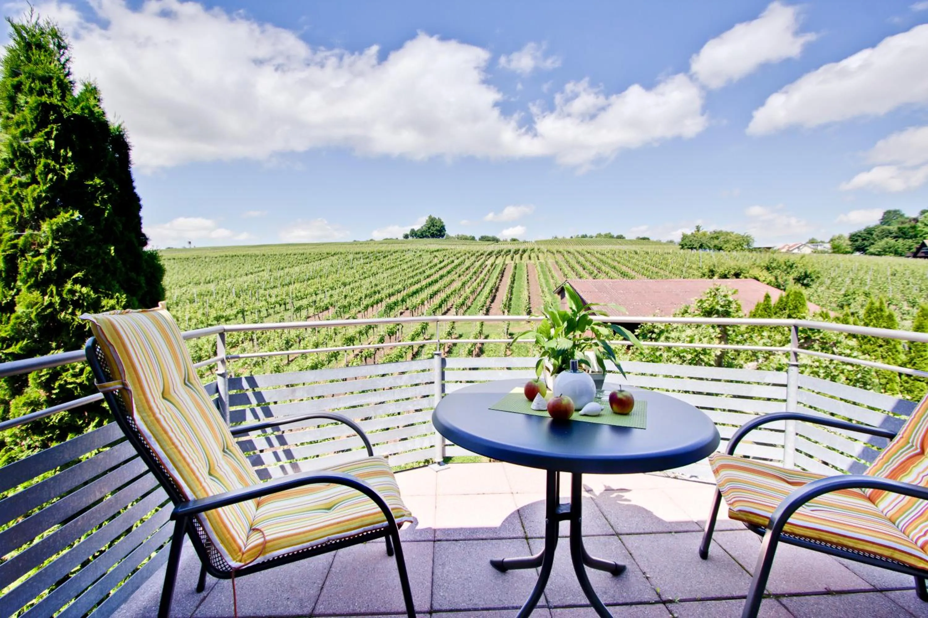 Garden view in Ferienhof Berger UG