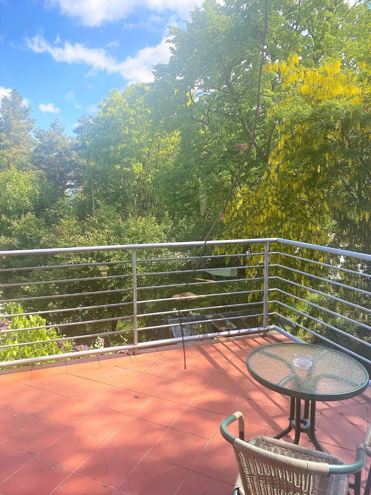 Garden view in Willa Solmare