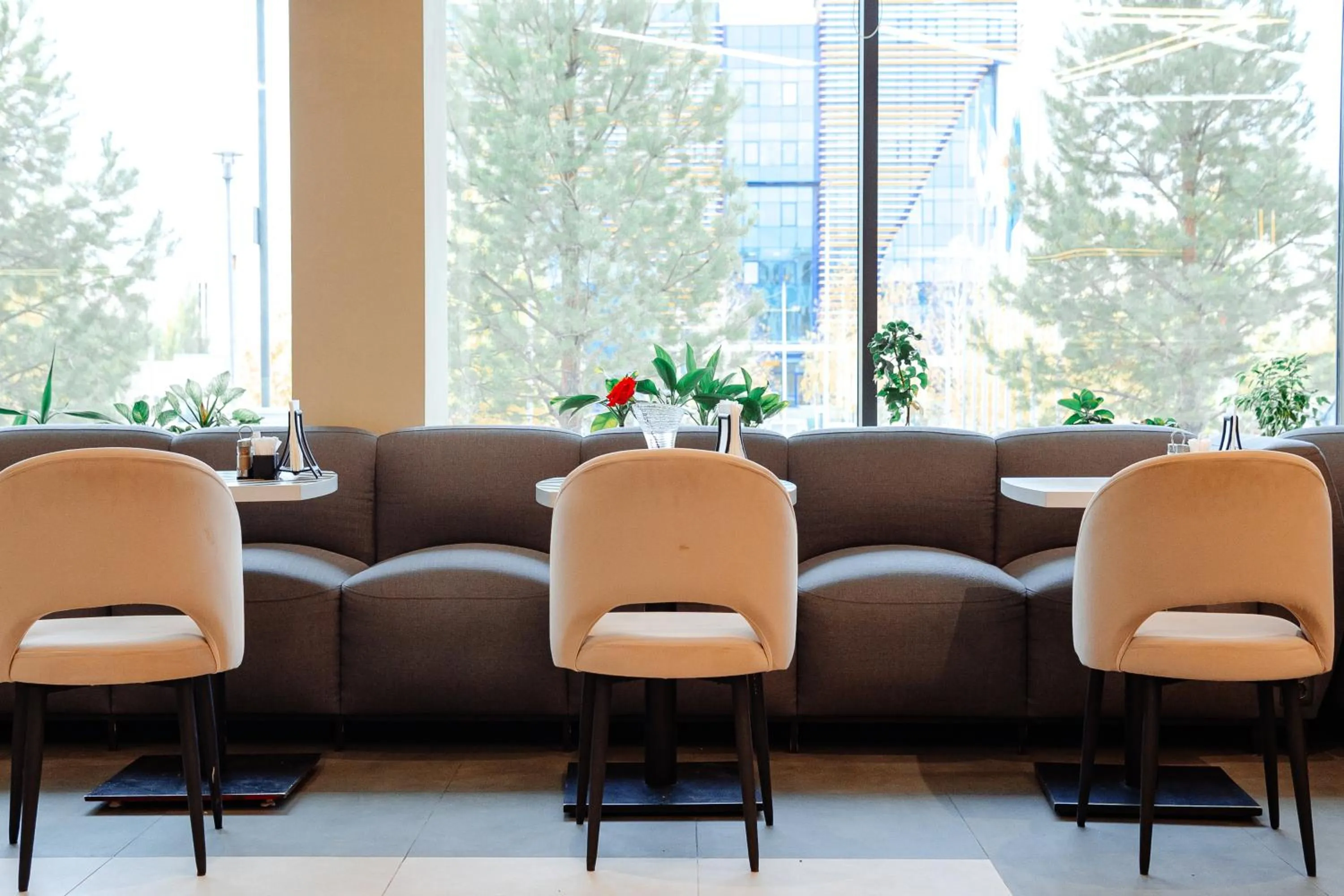 Restaurant/places to eat in Ibis Aktobe