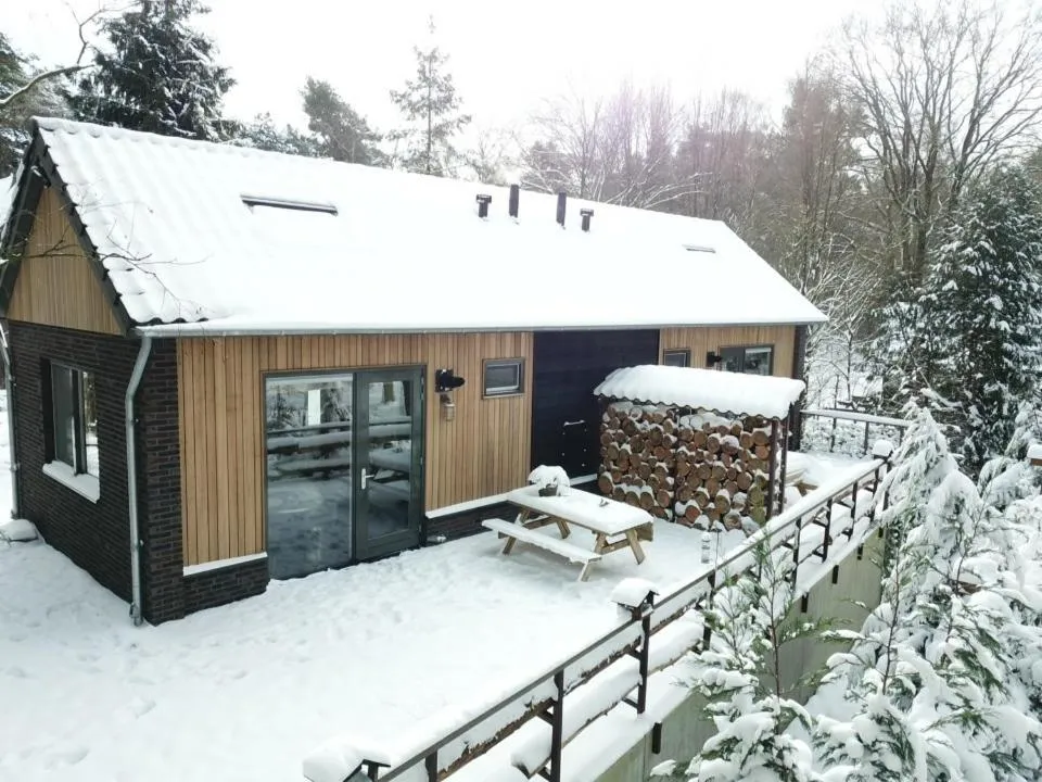 Property building in ForRest Suites