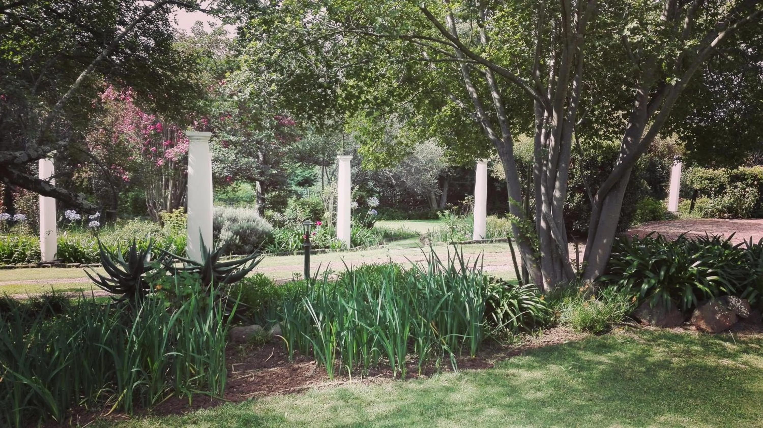 Garden in The Riverhouse Guesthouse