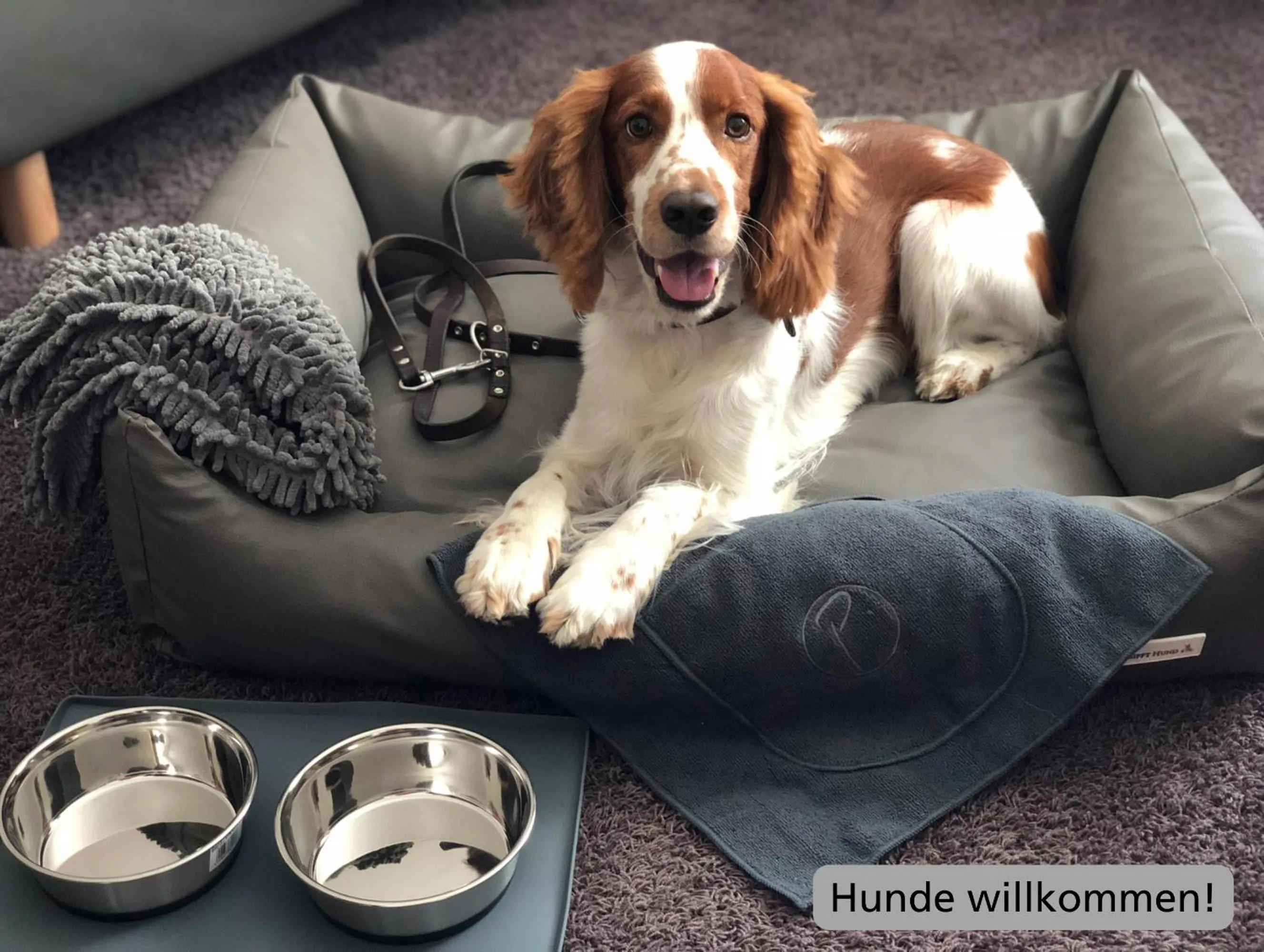 Animals in Hotel & Living Am Wartturm - Hotel & Apartments