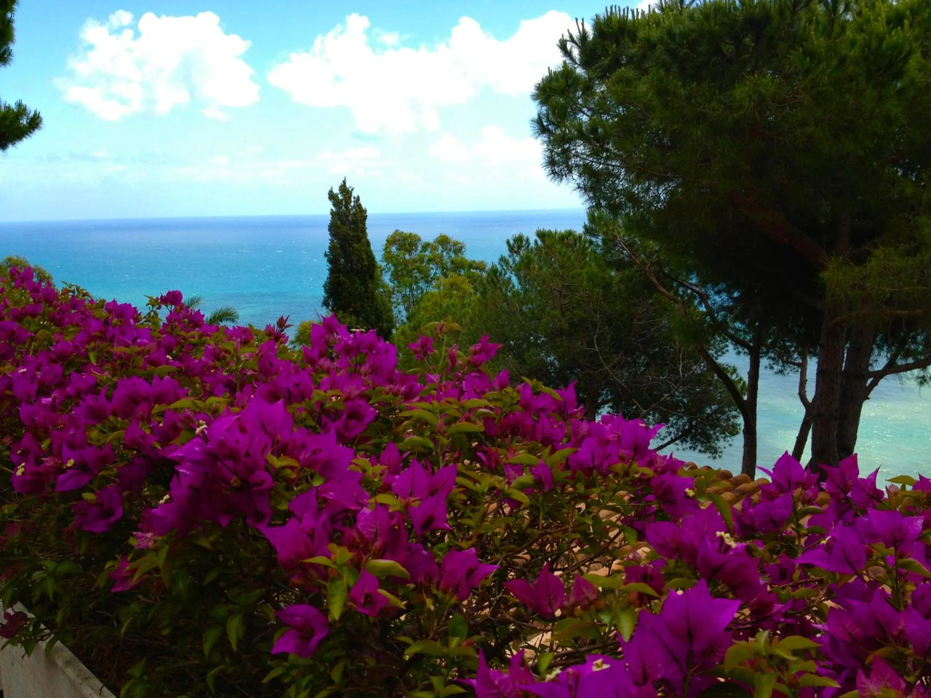 Garden in Claro De Lua Circeo B&B