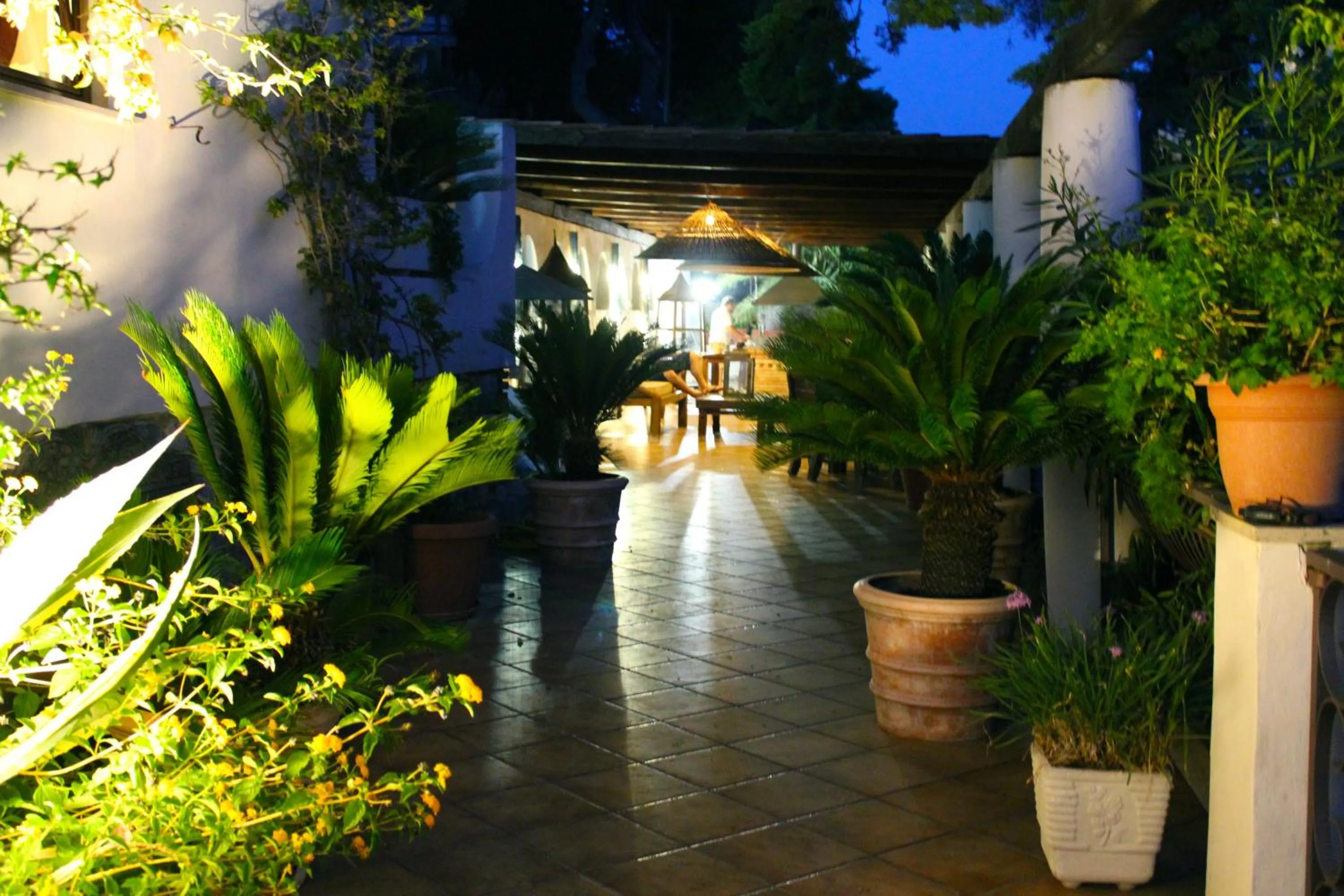 Garden in Claro De Lua Circeo B&B