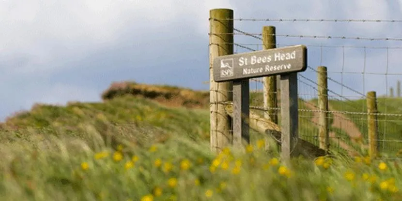 Area and facilities in Seacote Hotel