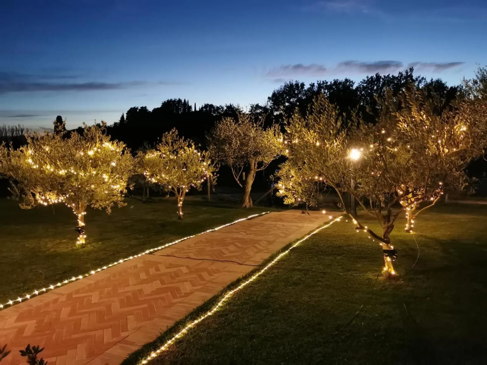 Garden in B&B Luna Nuova