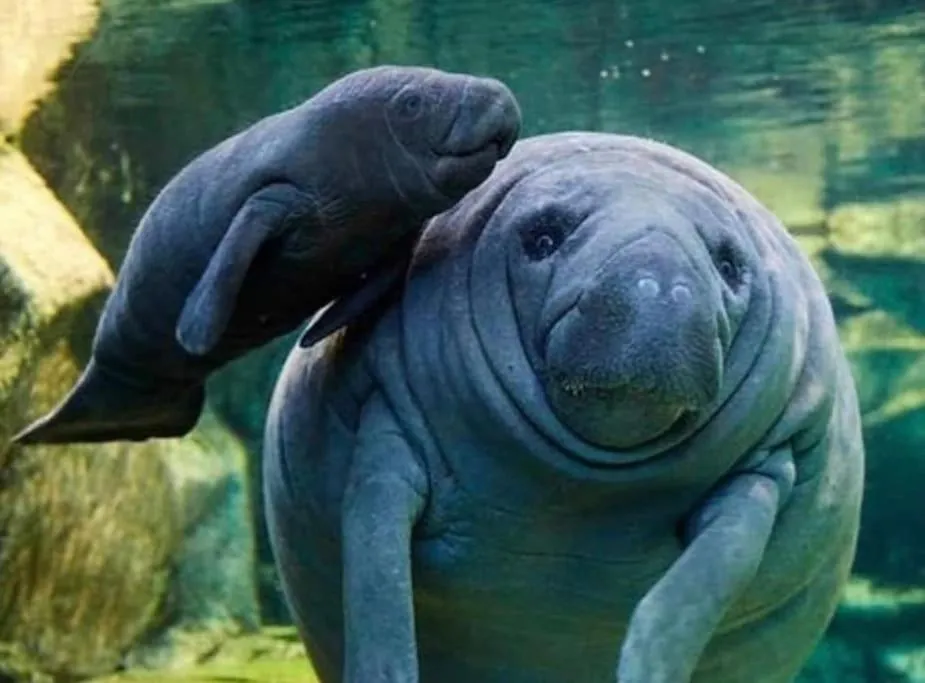 409-Waterfront View, WIFI, Pool, Close to BUCS Stadium