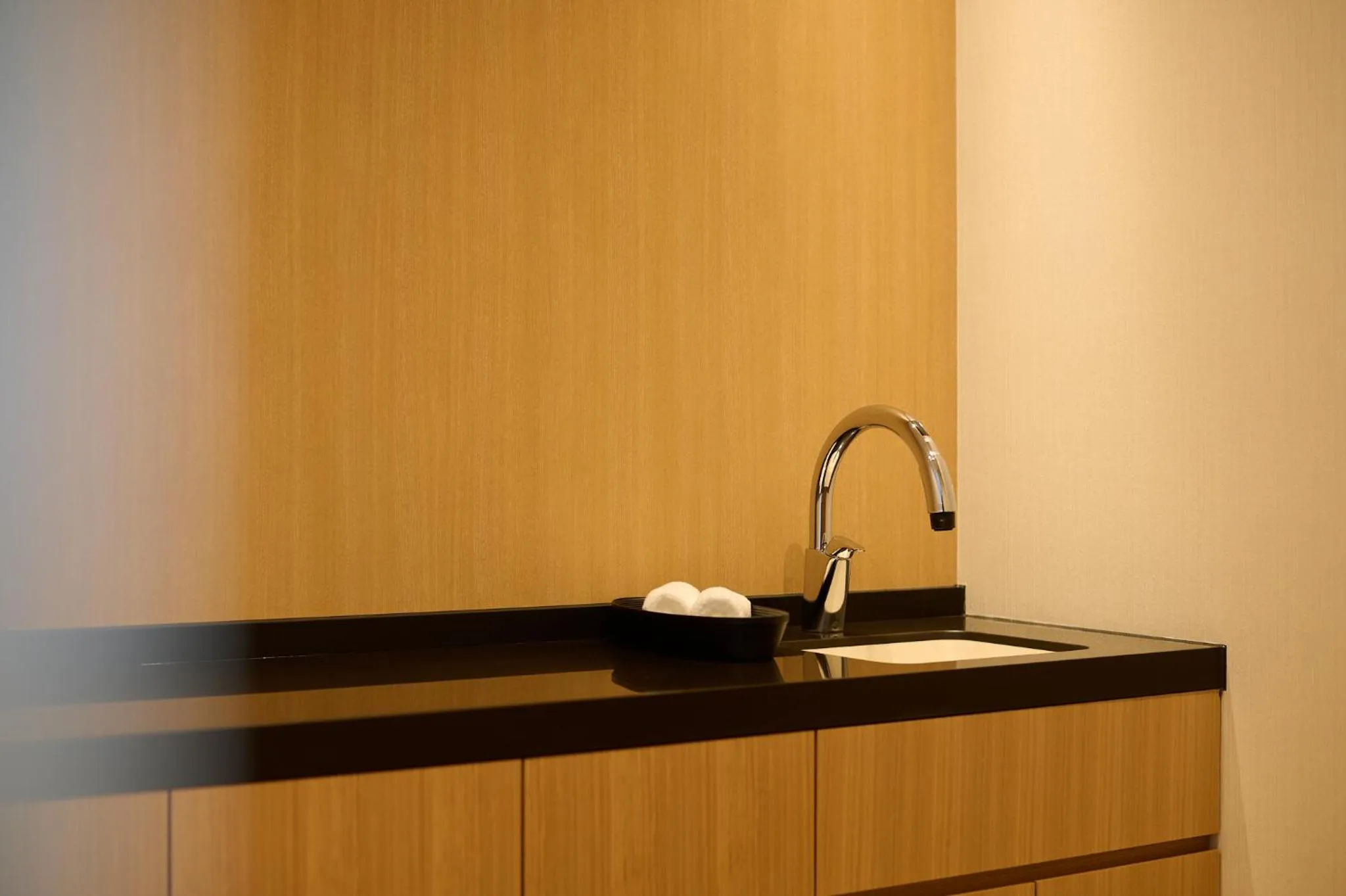 Kitchen or kitchenette in Pearl Star Hotel ATAMI