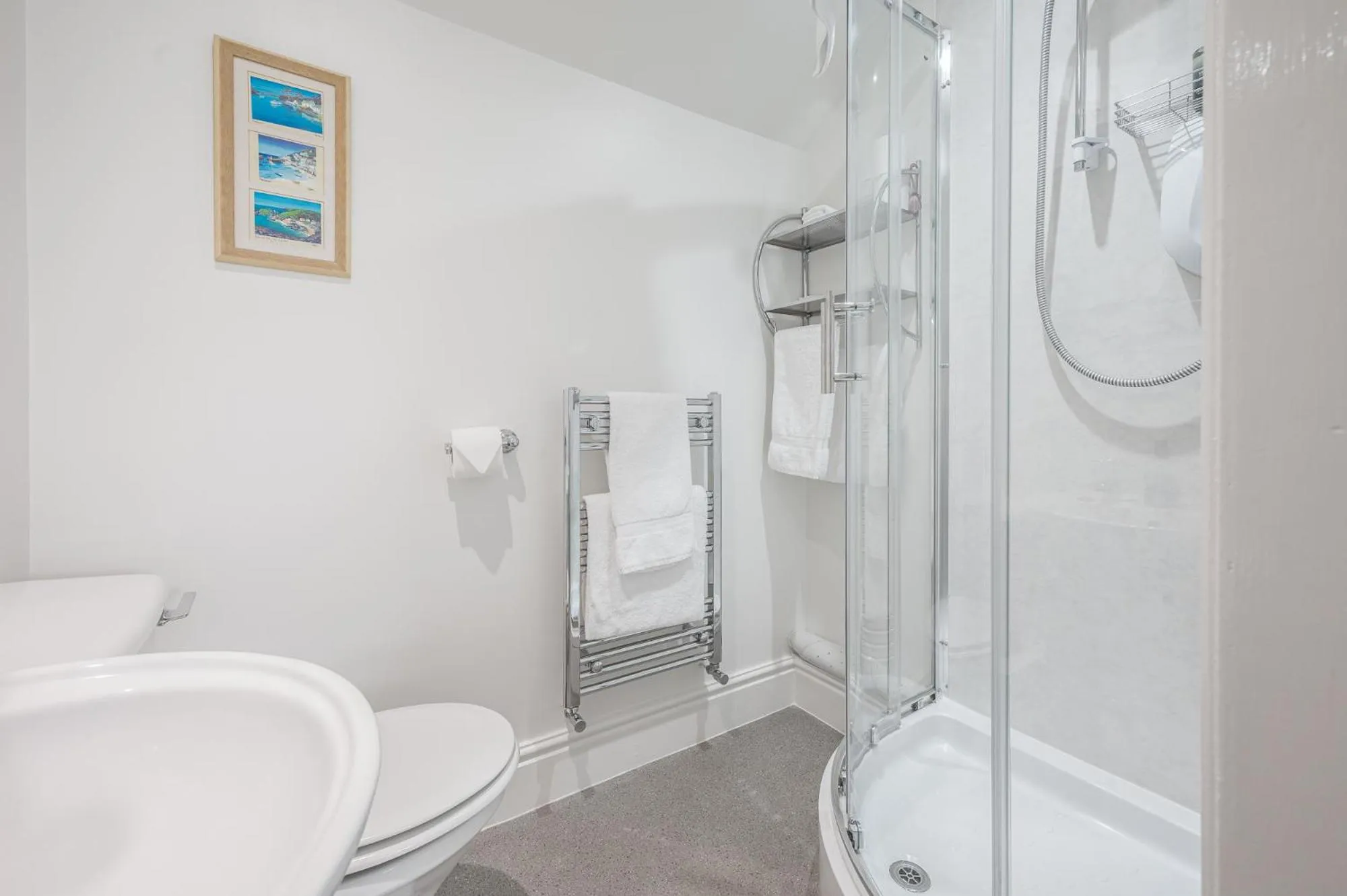 Shower in Blue Swallow