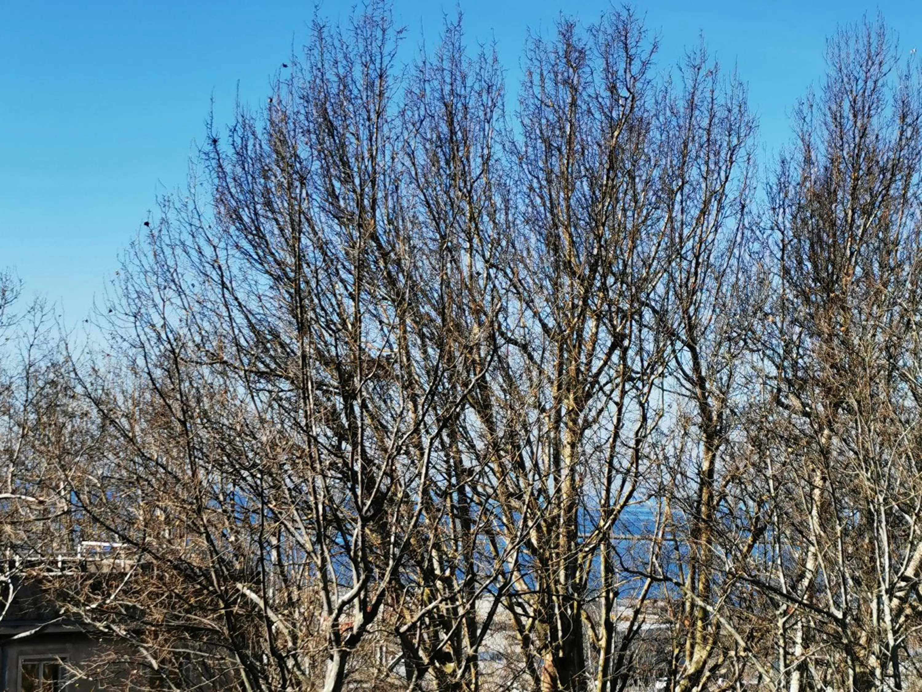 Sea view in MURAT OTTO