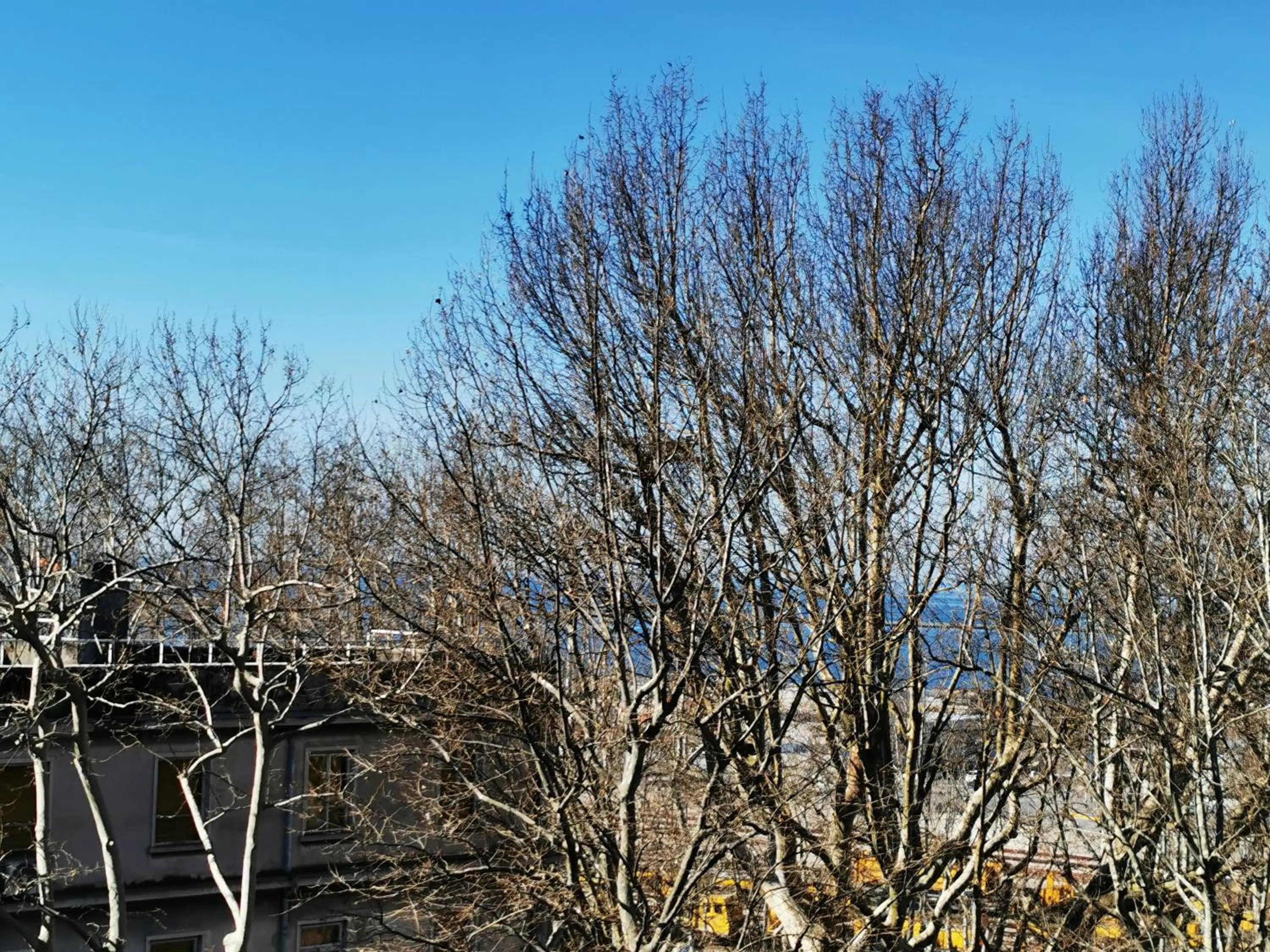 Sea view in MURAT OTTO