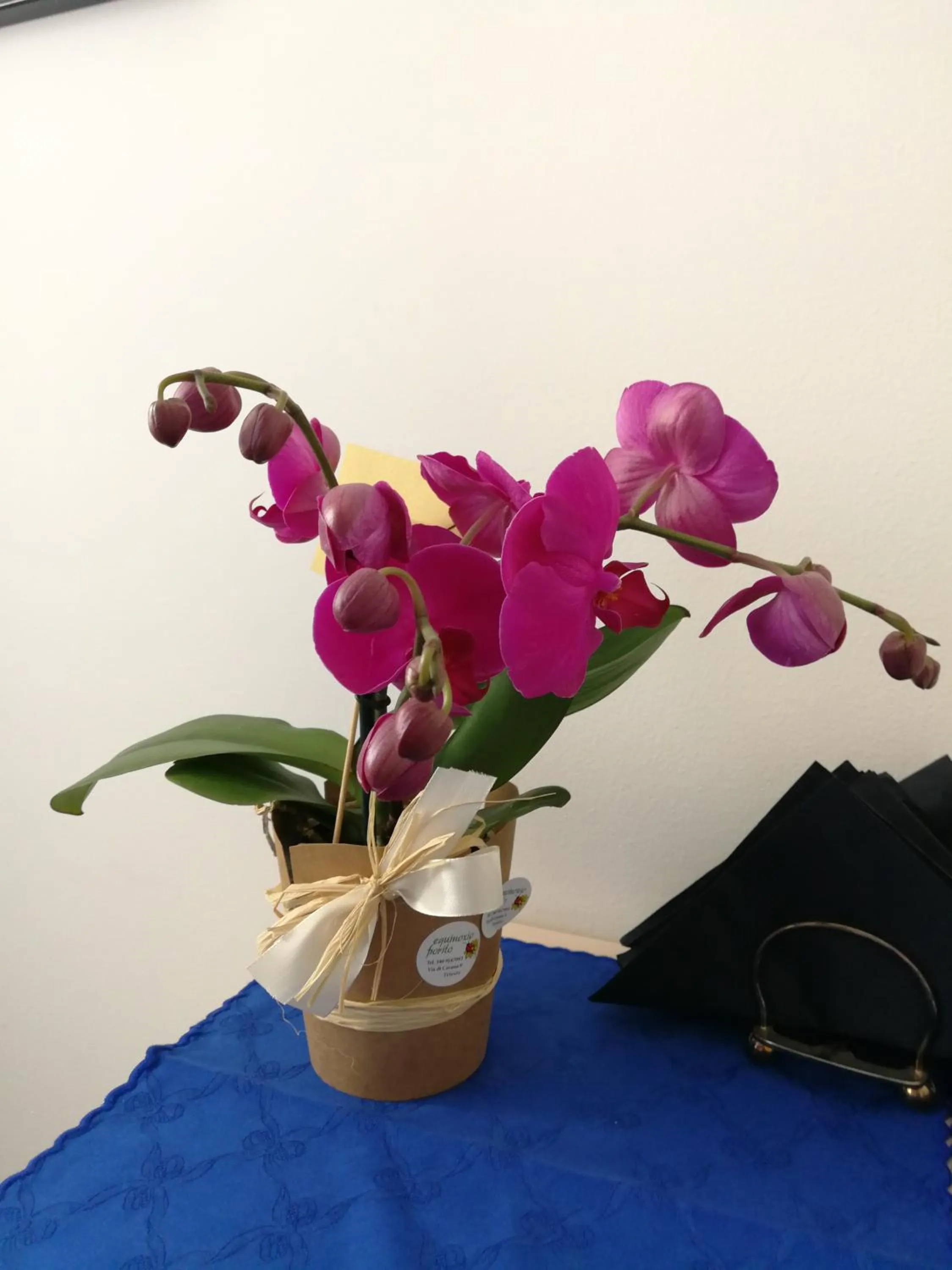 Decorative detail in MURAT OTTO