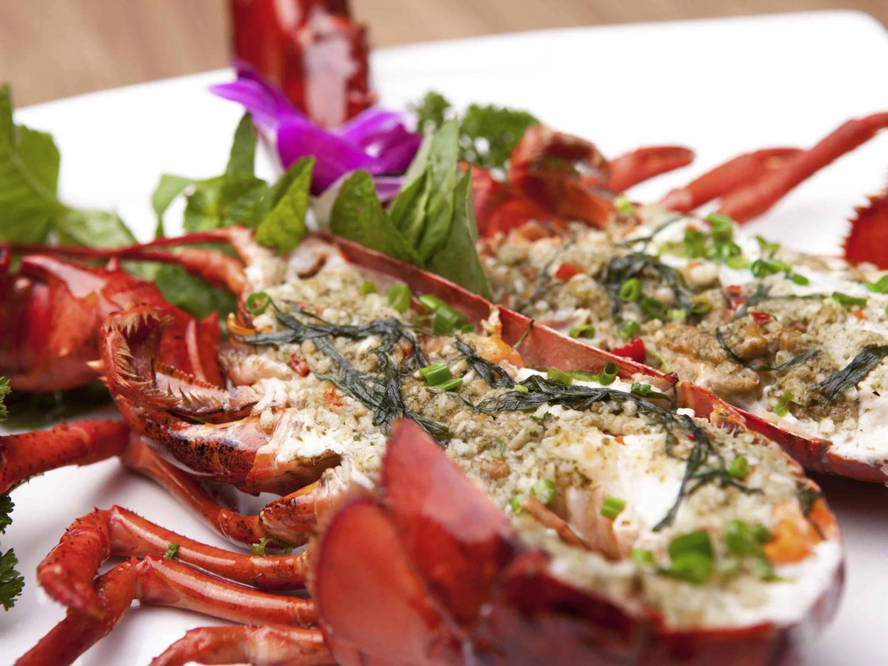 Lounge or bar in Shenzhen Novotel Watergate