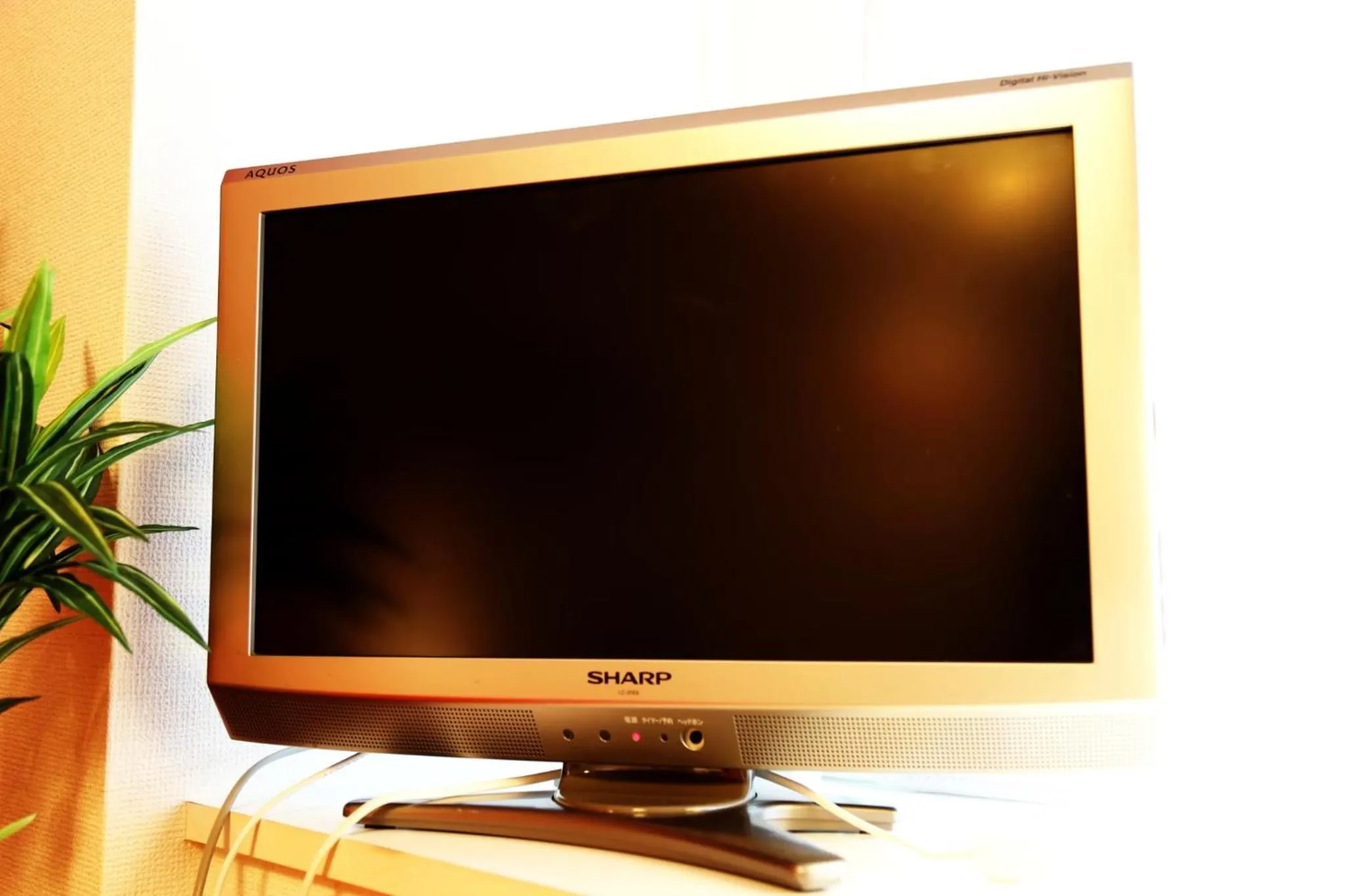 Lions Mansion Dogenzaka 207