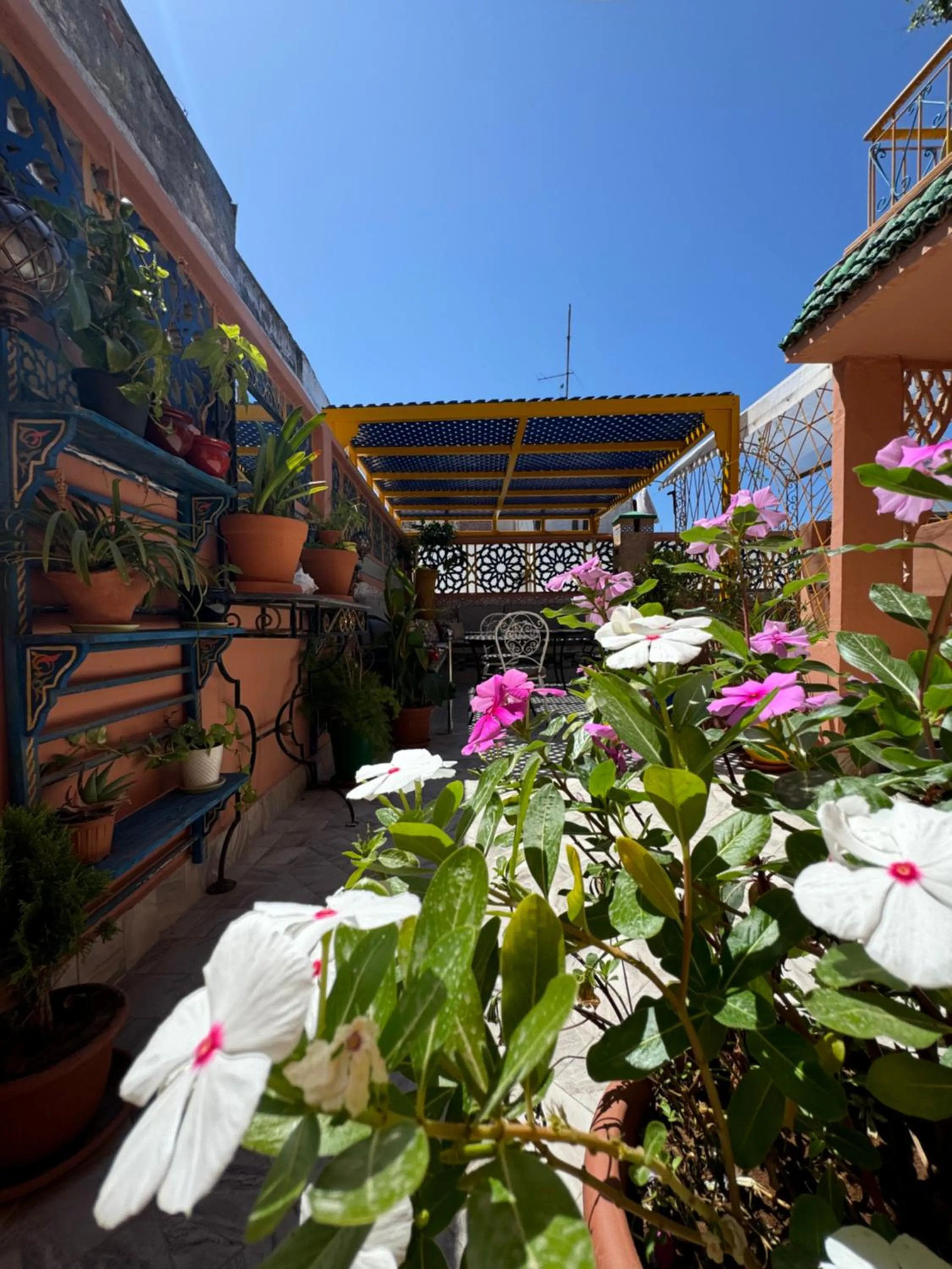 Patio in RIAD ESMERALDA By Dar Ouezzani