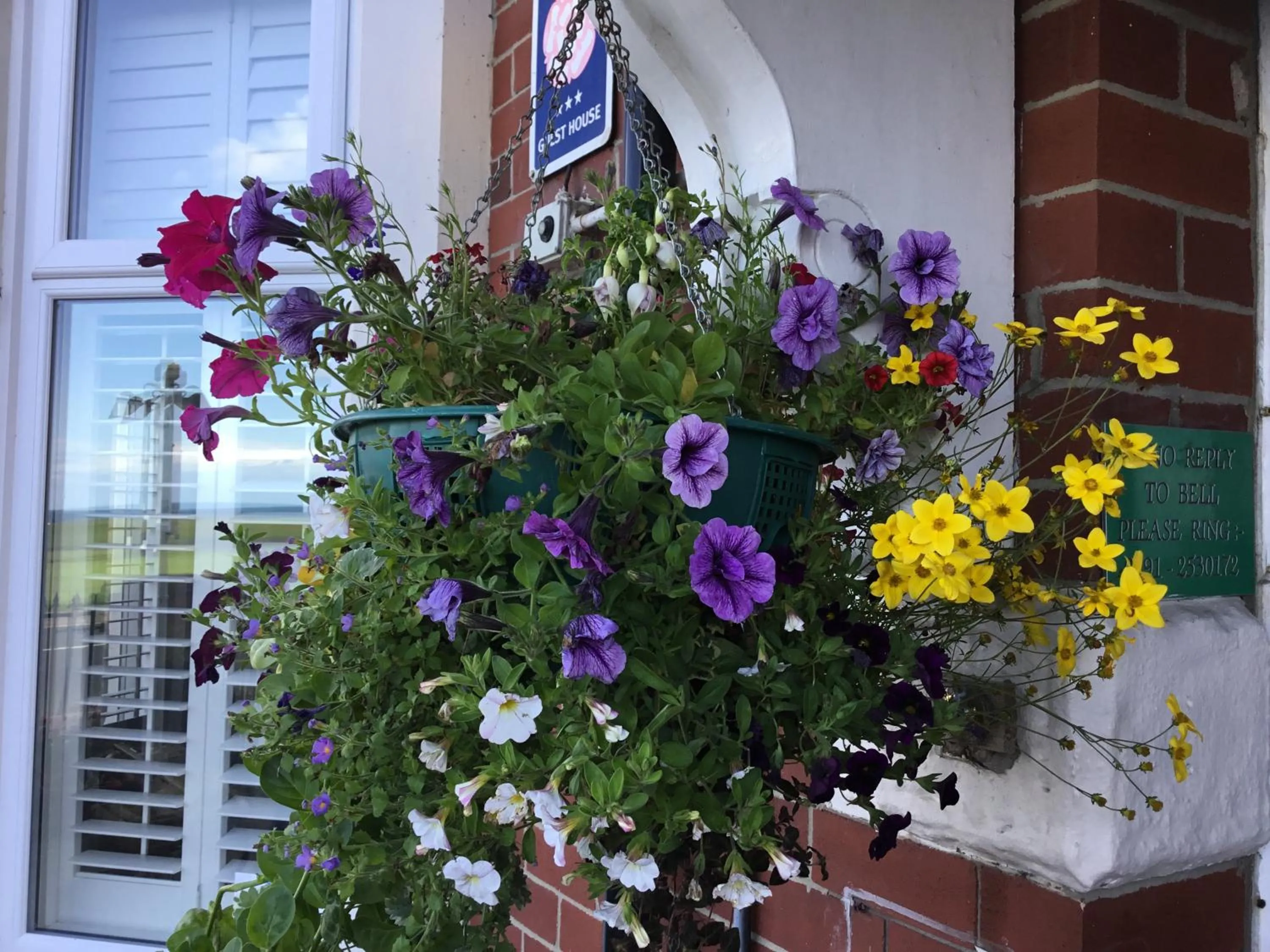 Area and facilities in Cara Guesthouse