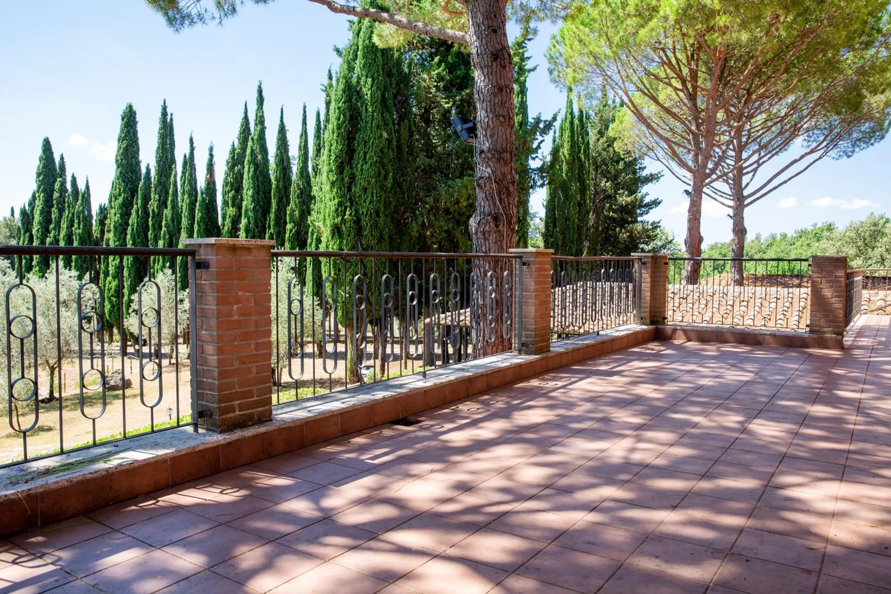 Garden in Palazzo Vittoria