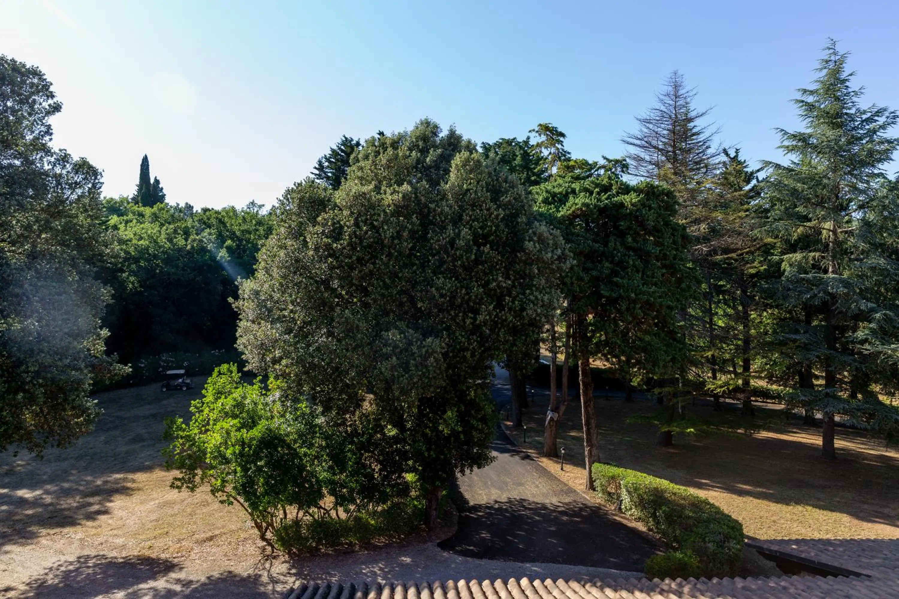 Garden in Palazzo Vittoria